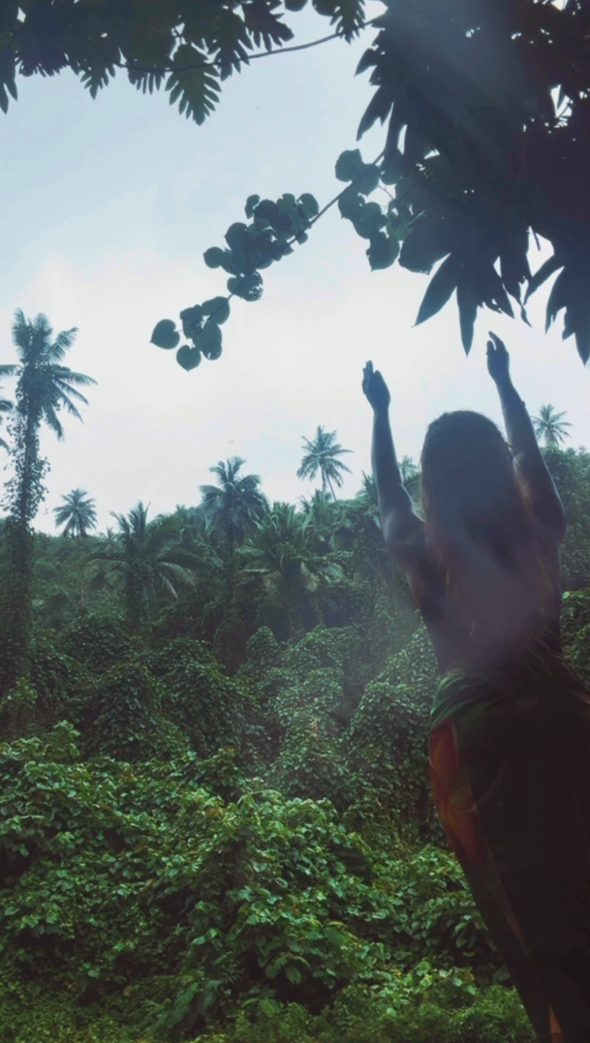 In Person 1:1 Transformation Package 12 Sessions