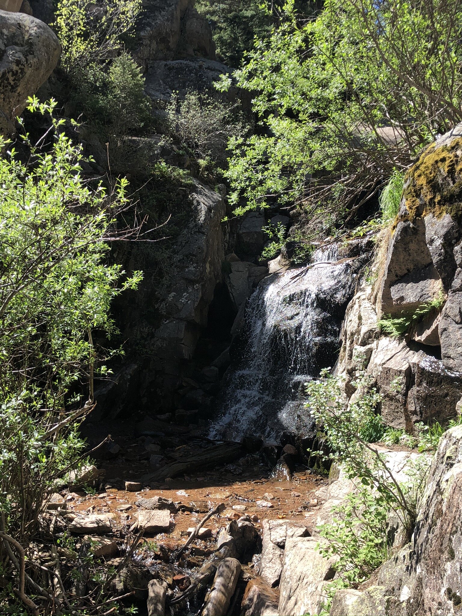 Hike Review: Maxwell Falls Trail, Conifer, CO — Team Be Outdoors