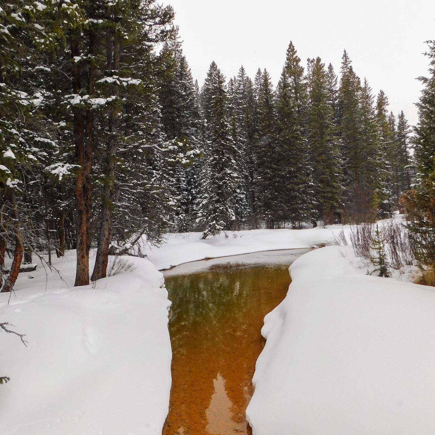 Finding places like this one - with only 2 other cars in the parking lot - makes me so happy. I think part of the reason I love winter so much is that we are not always surrounded / passing / being passed by so many people when we are out hiking. Whe