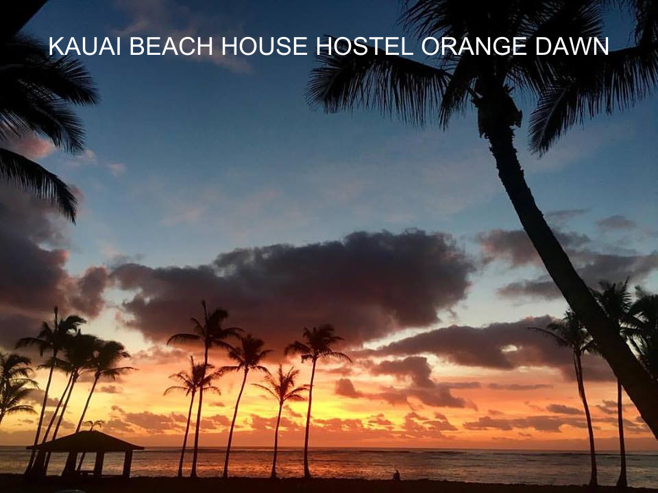 KAUAI+BEACH+HOUSE+HOSTEL+ORANGE+DAWN.png
