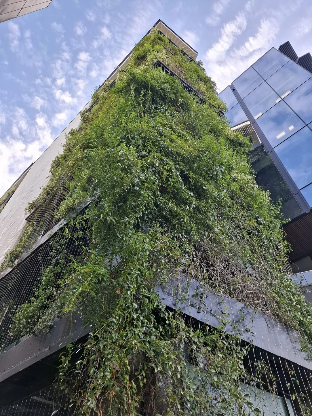 a greened building somewhere in Auckland
