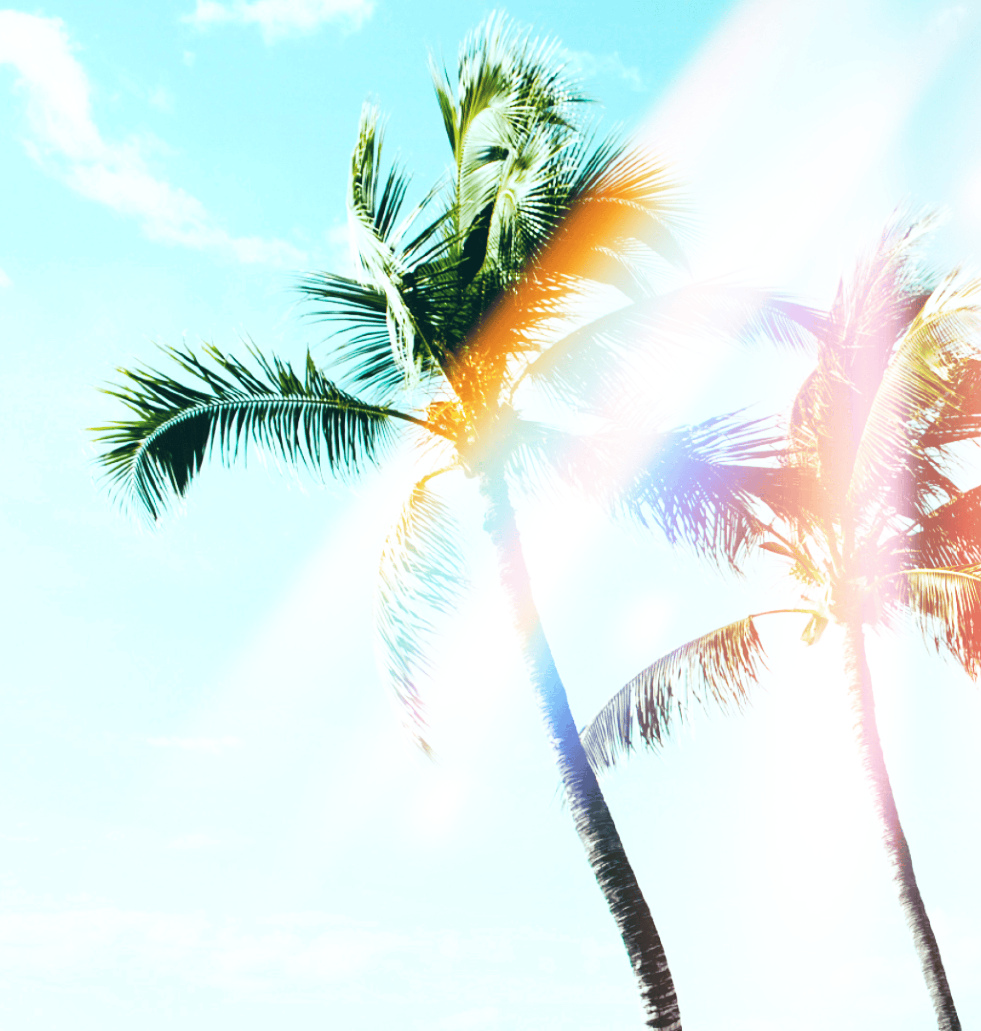 Rainbow-Effects-For-Photos (3).png