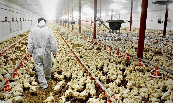 COVID-19, Marxism, and the Metabolic Rift