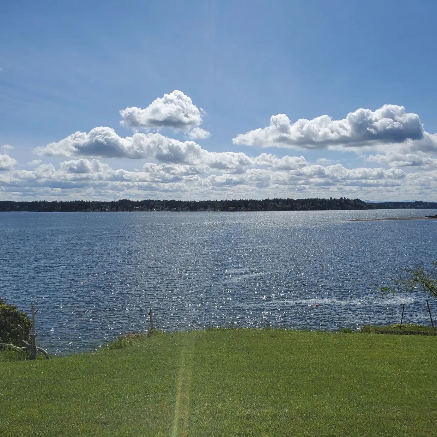 What terrible places I get talked into visiting for projects...

Excited to add some exterior character to this wonderful older waterfront home!

#pugetsound #whataview #pnwdesign #pnwonderland #lovelyweather #homeremodel #3dmodeling #chiefarchitect 