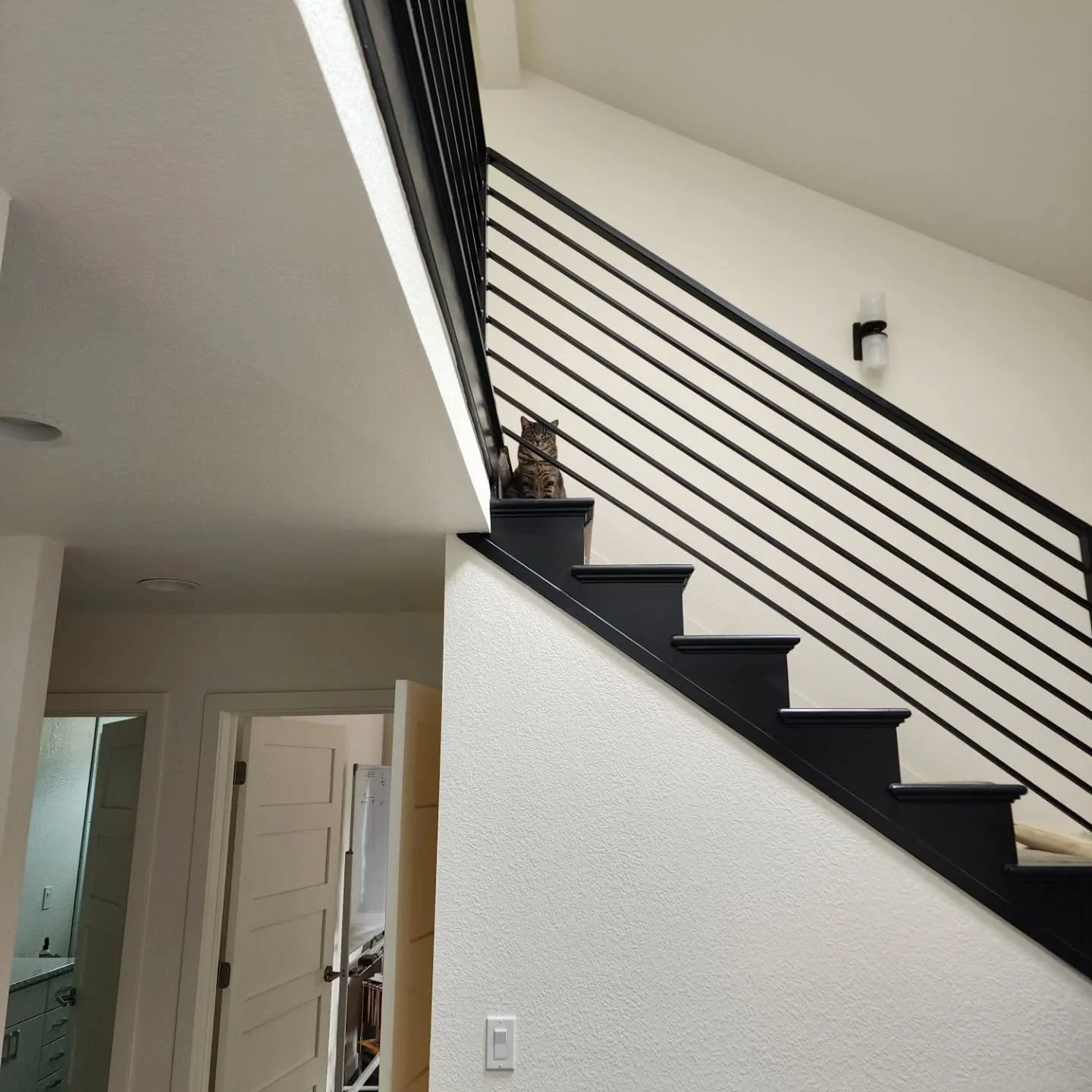 "I'm watching you, stranger with the laser...... "

Had an adorable little follower at my recent site visit for as-built measurements.

#neversafe #iseeyou #asbuilt #catlife #redarrows #sitevisit