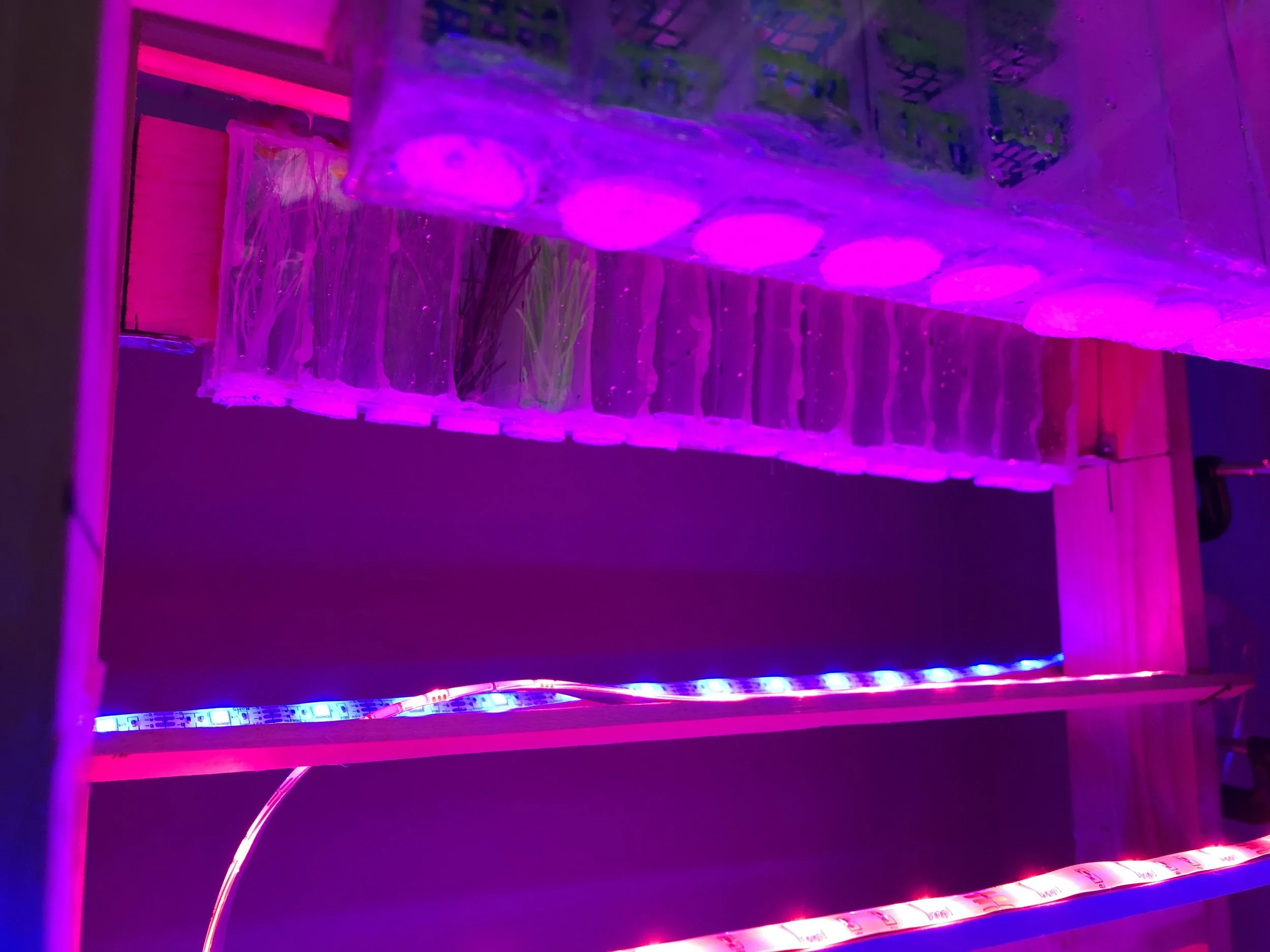 Deep Space Food Challenge