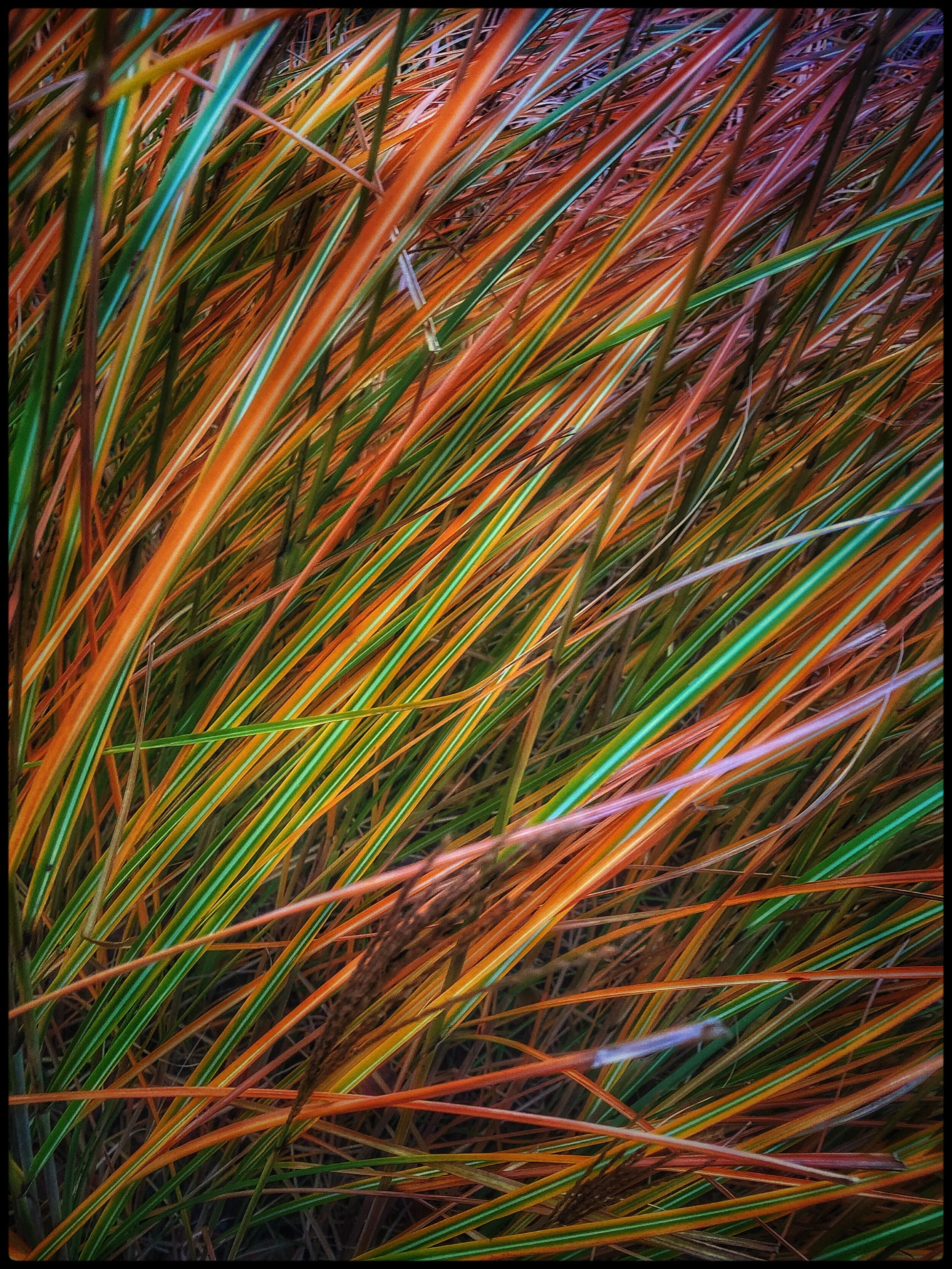 IMG_0115 (Edited).JPG