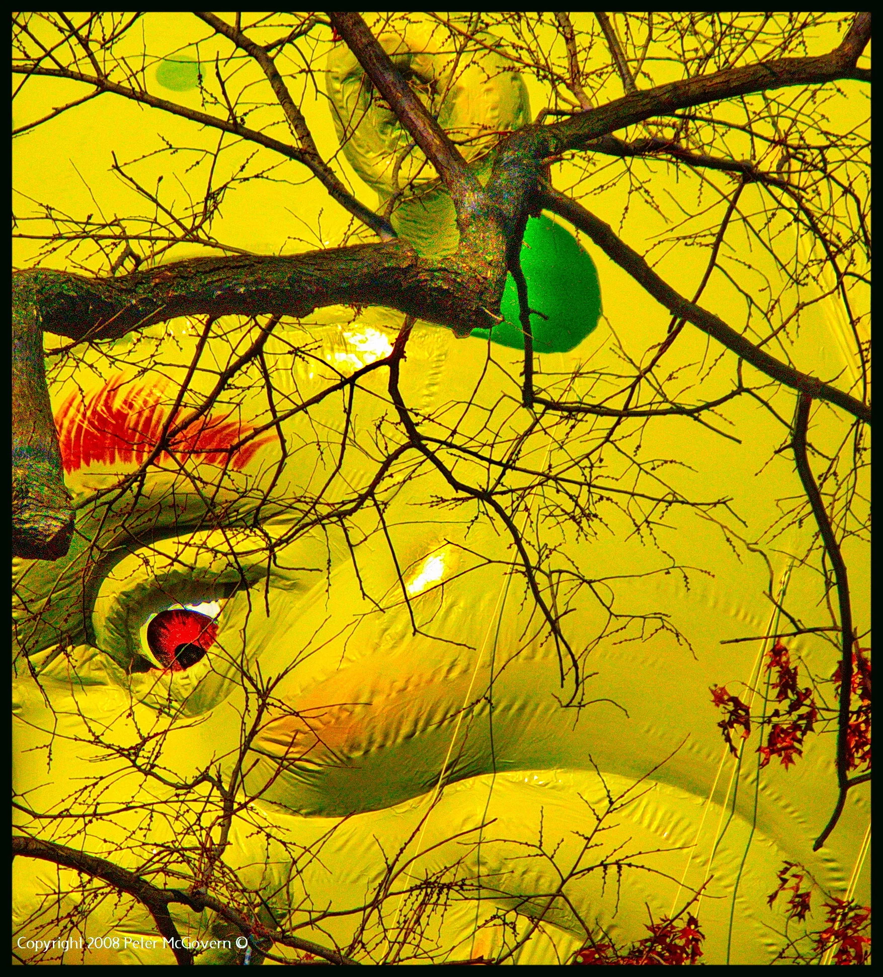 Balloon Thanksgiving Parade.jpg