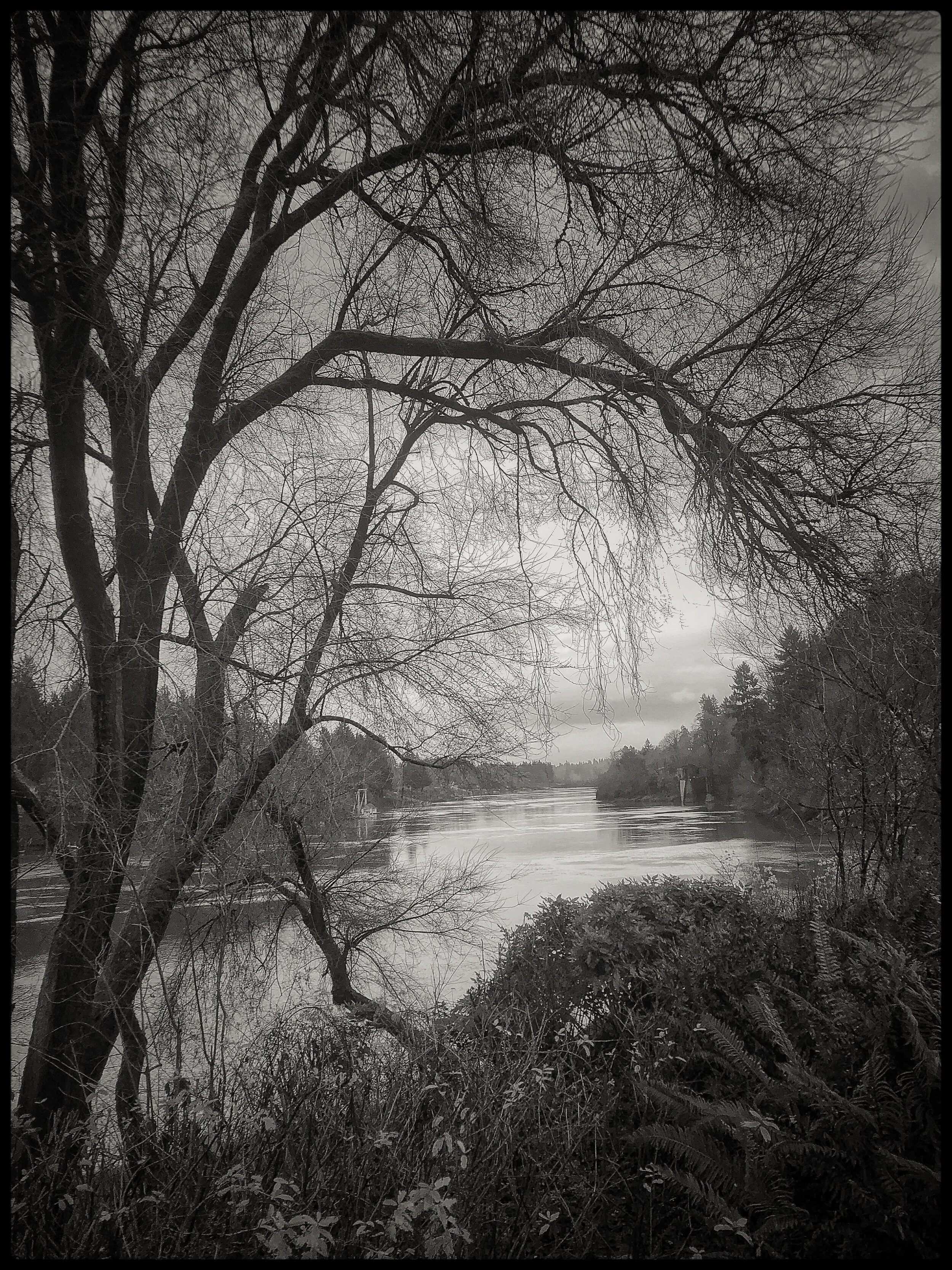 IMG_1555 (Edited).JPG