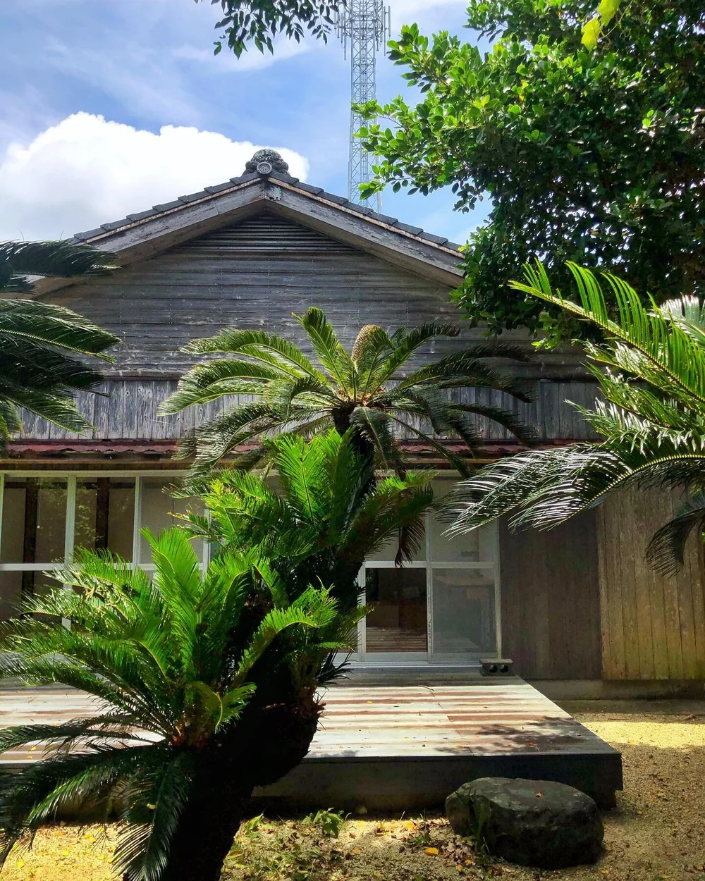 🌴a home away from home 🌟 the beautiful simplicity of our @denpaku_tokunoshima kominka🍃 with its outdoor rustic wood patio leading to our little sandy path to the beach, framed by curving palm trees 🌴 
&bull;
&bull;
#kagoshimajapan #tokunoshima #a