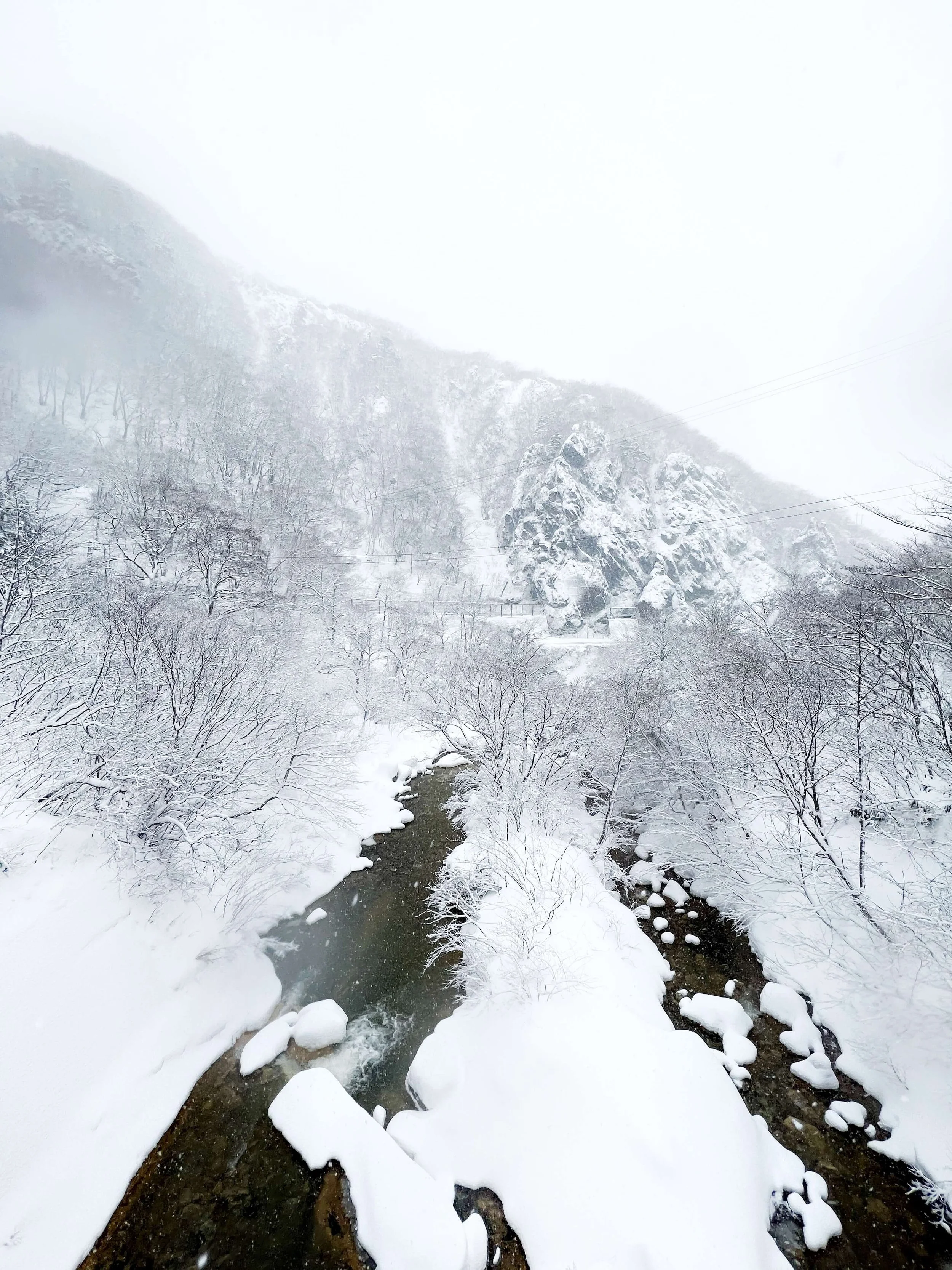 IMG_4939.JPG