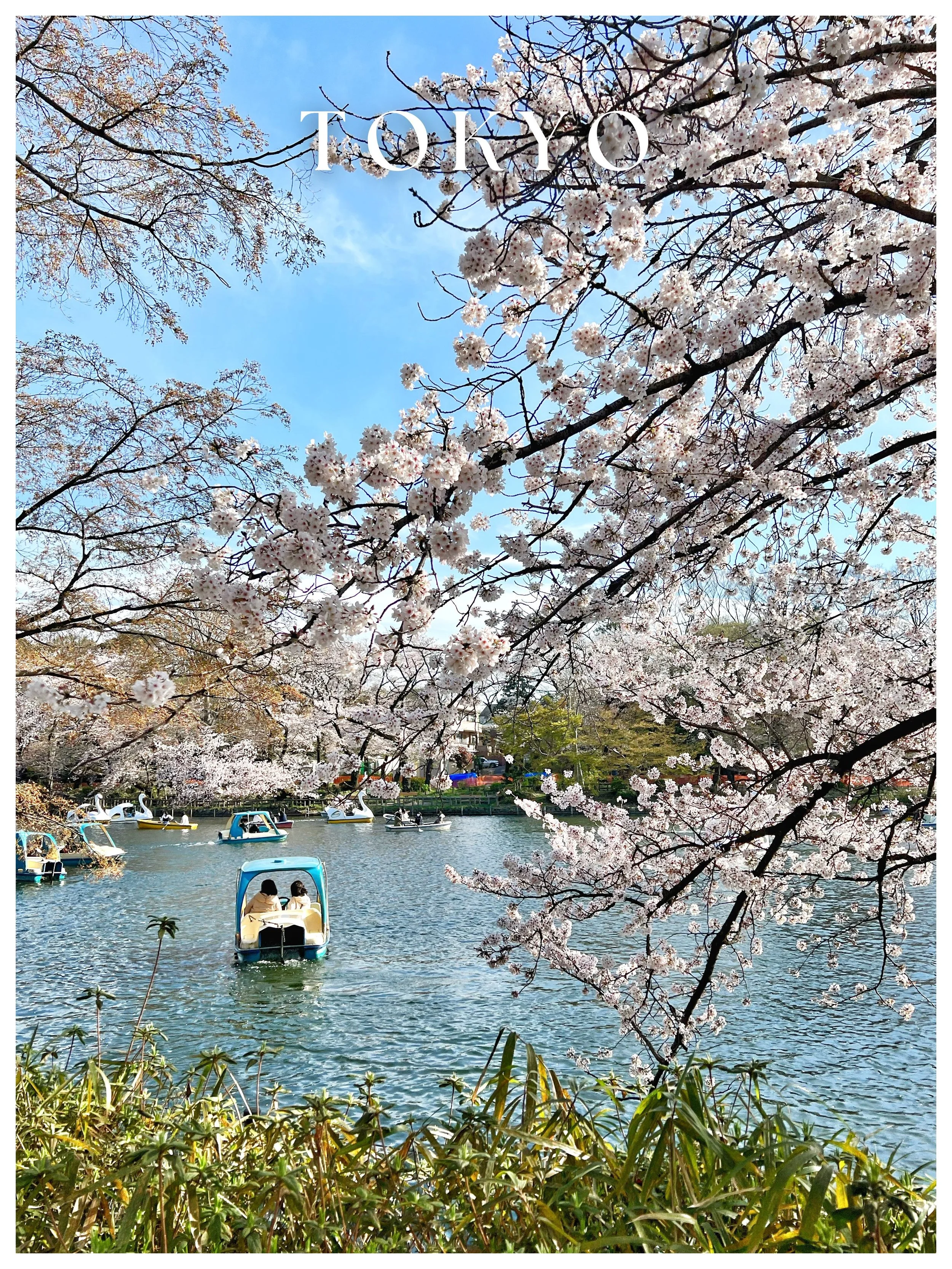 T O K Y O.jpg