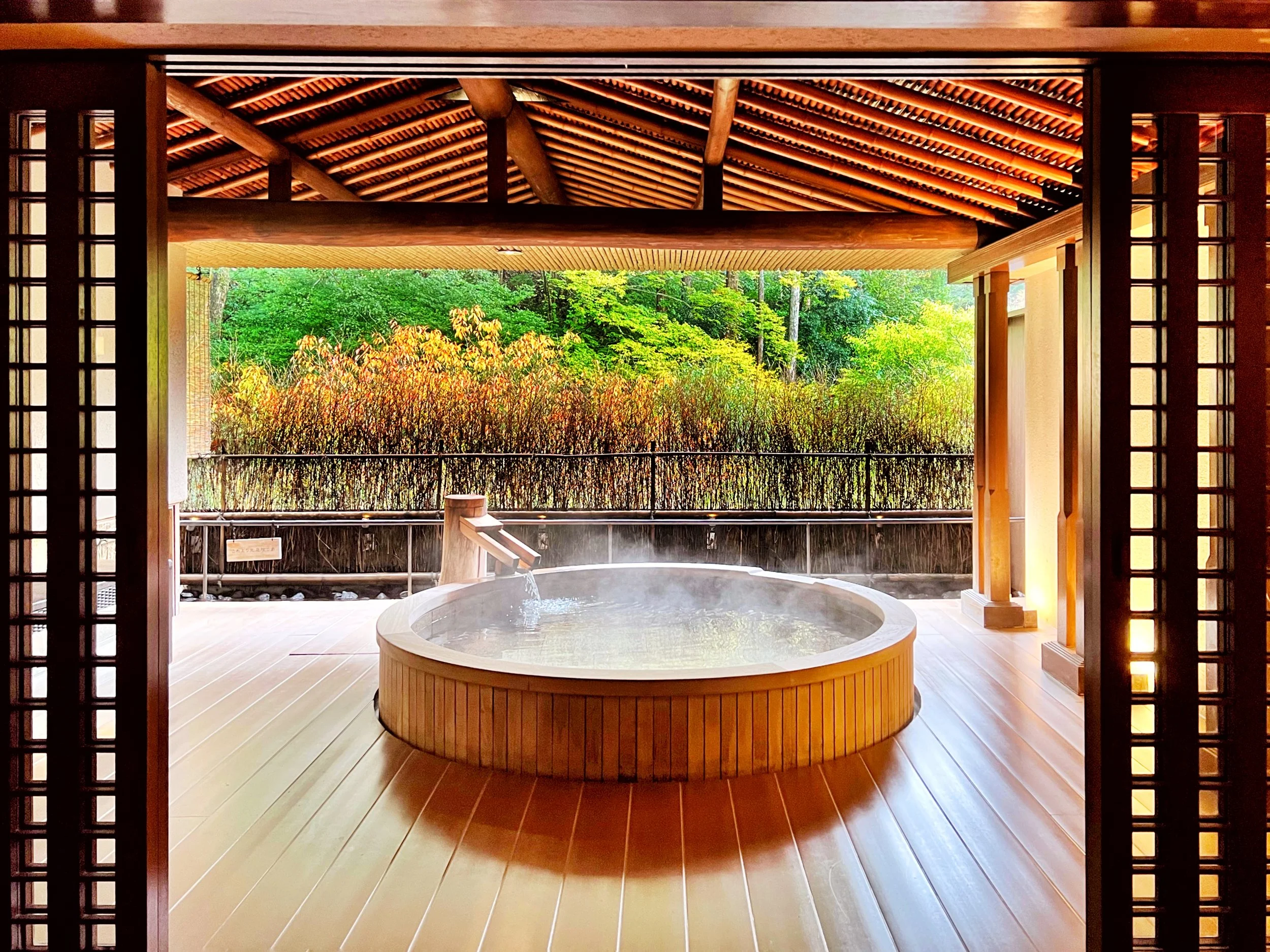 Onsen Ryokan near Tokyo-Kyoto-Osaka