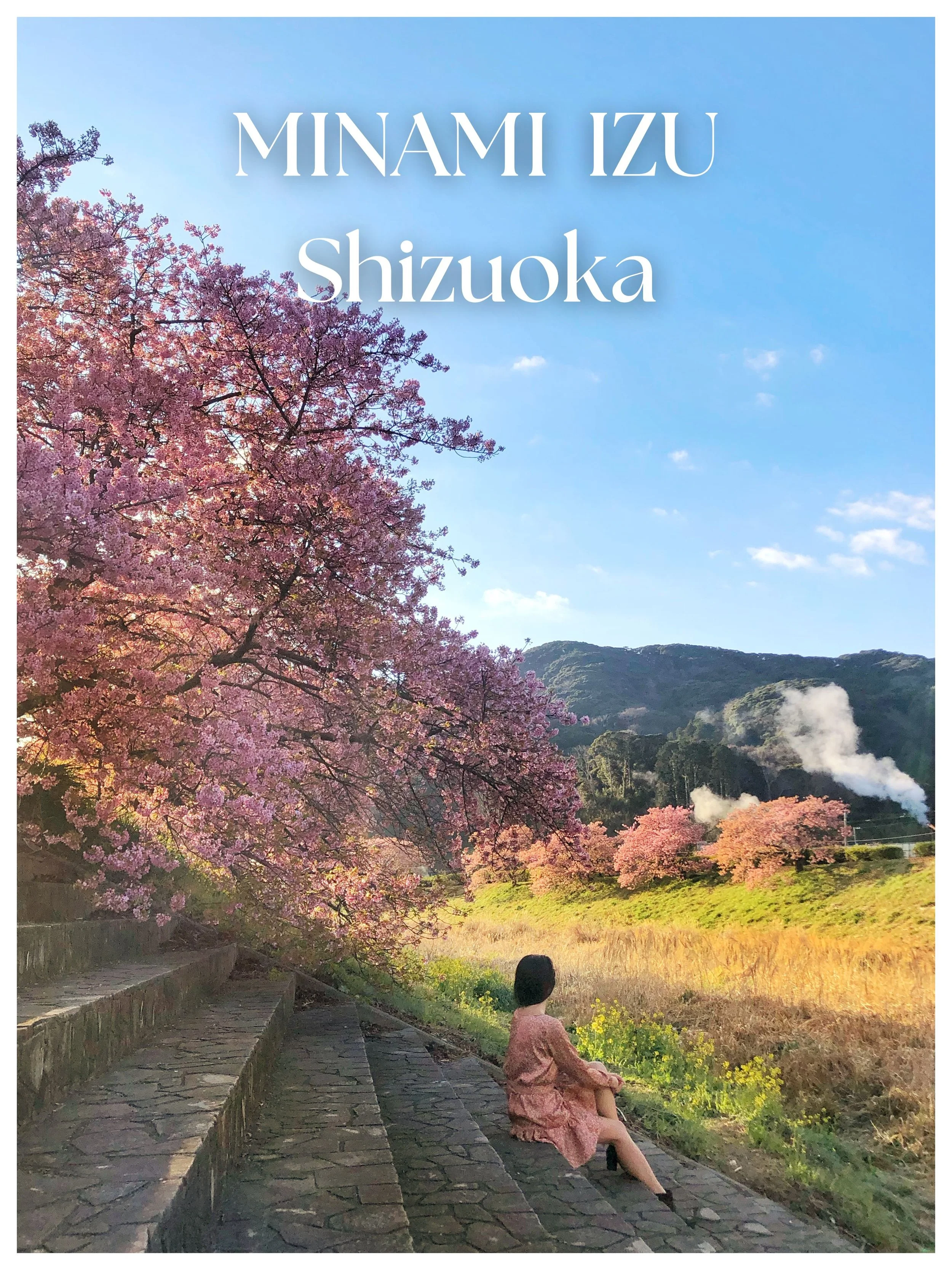 A woman sitting on stone steps under pink cherry blossom trees with mountains and steam rising from a factory in the background during daytime.