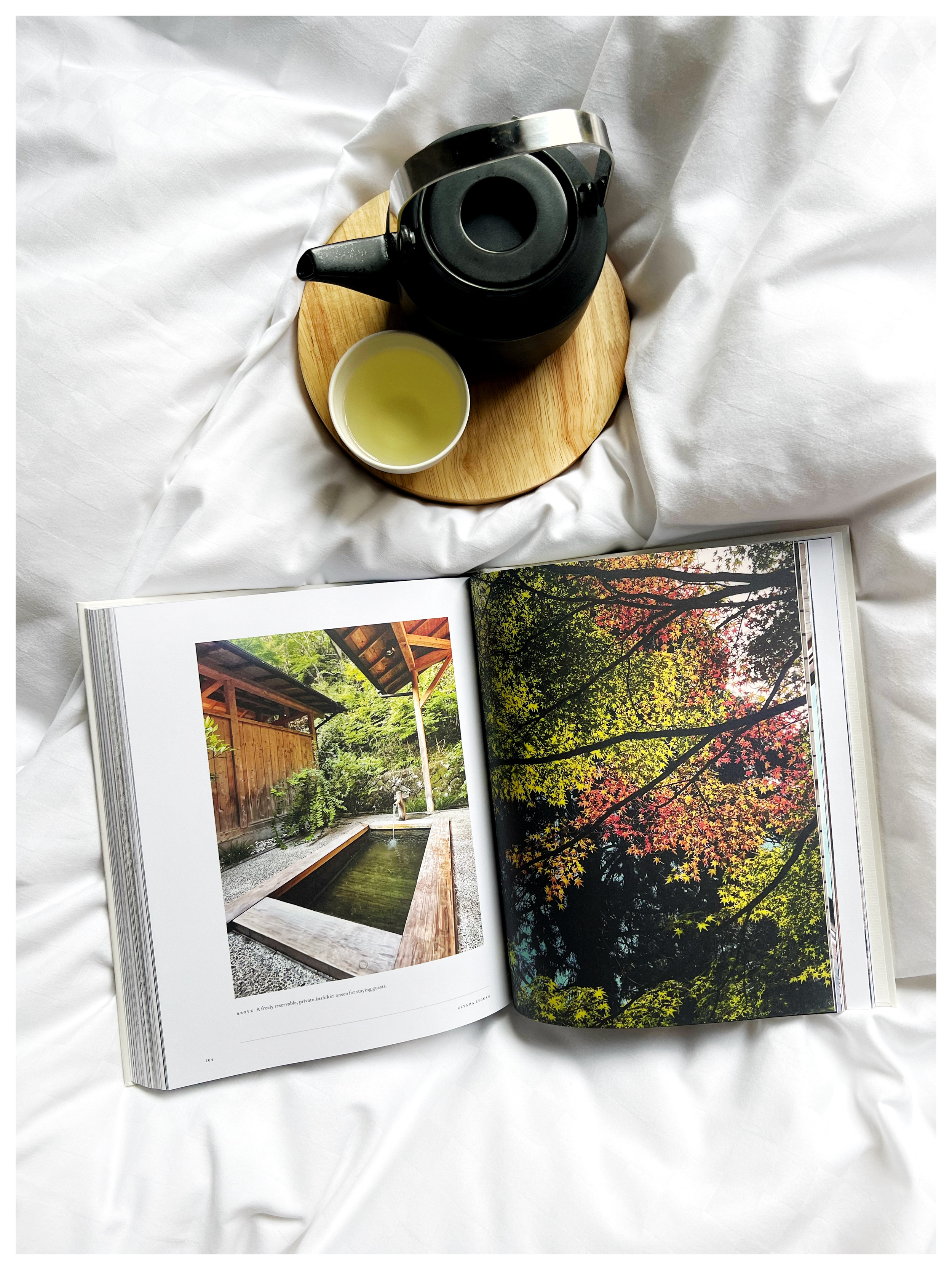 Untitled design (1).png