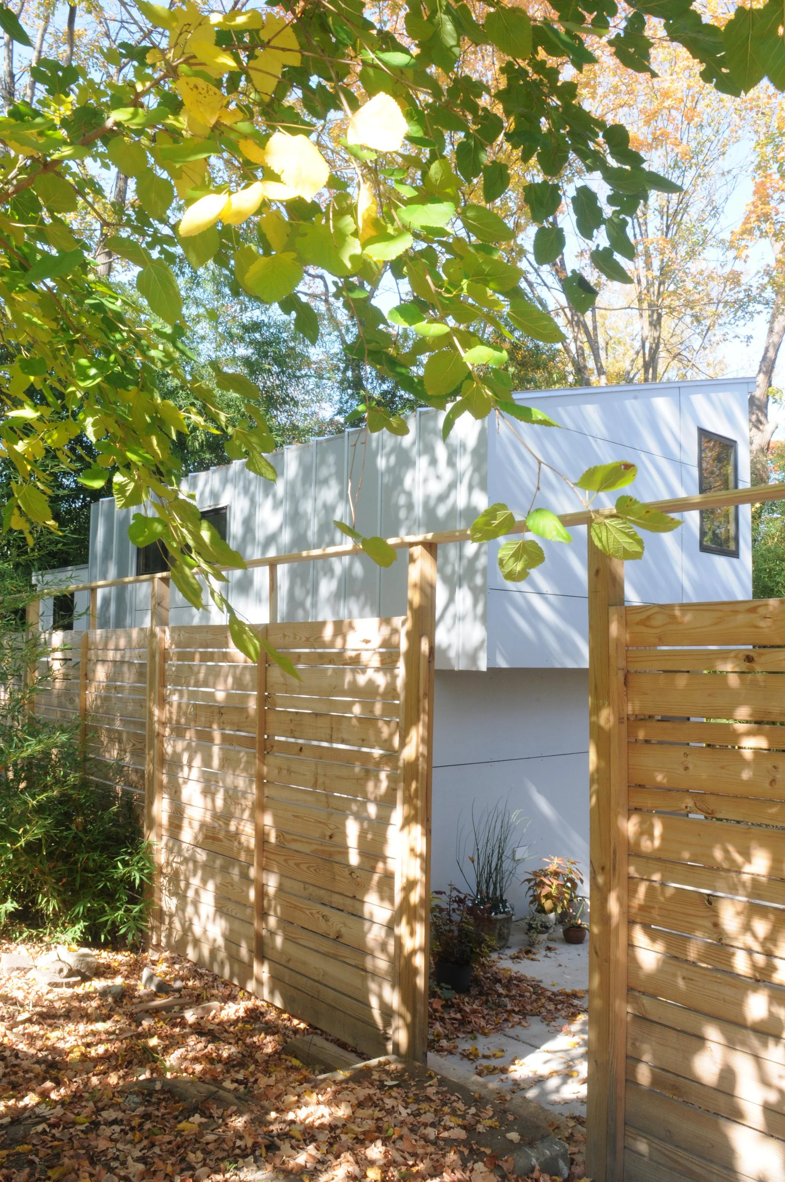 from side garden.JPG