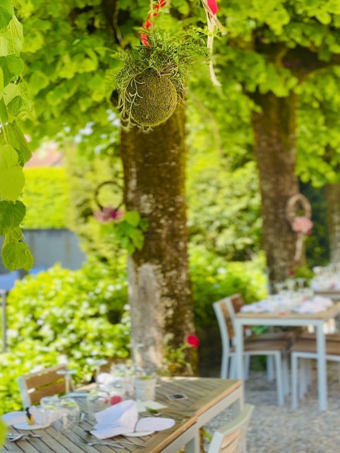 IMG_7991+2.jpg