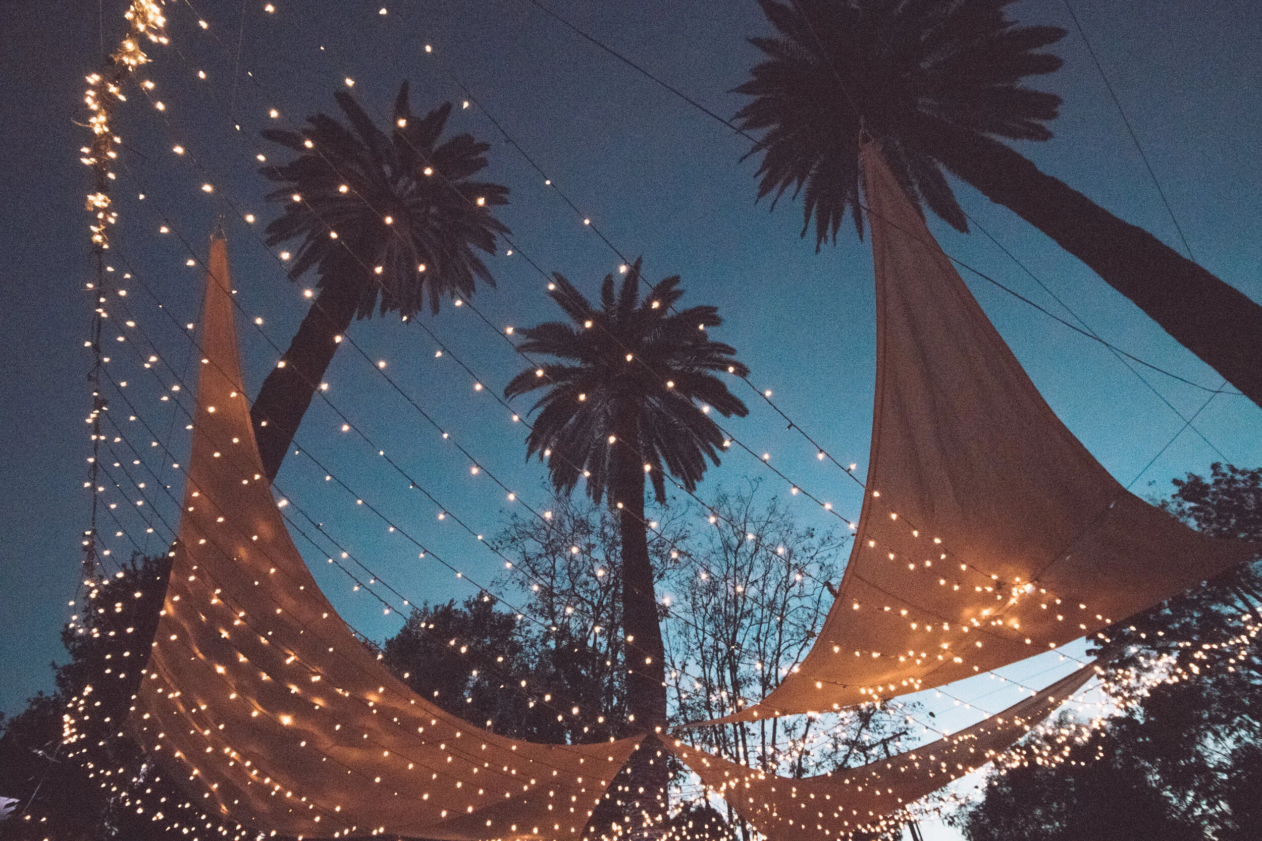 01012018BIRIwedding (93 of 94).jpg