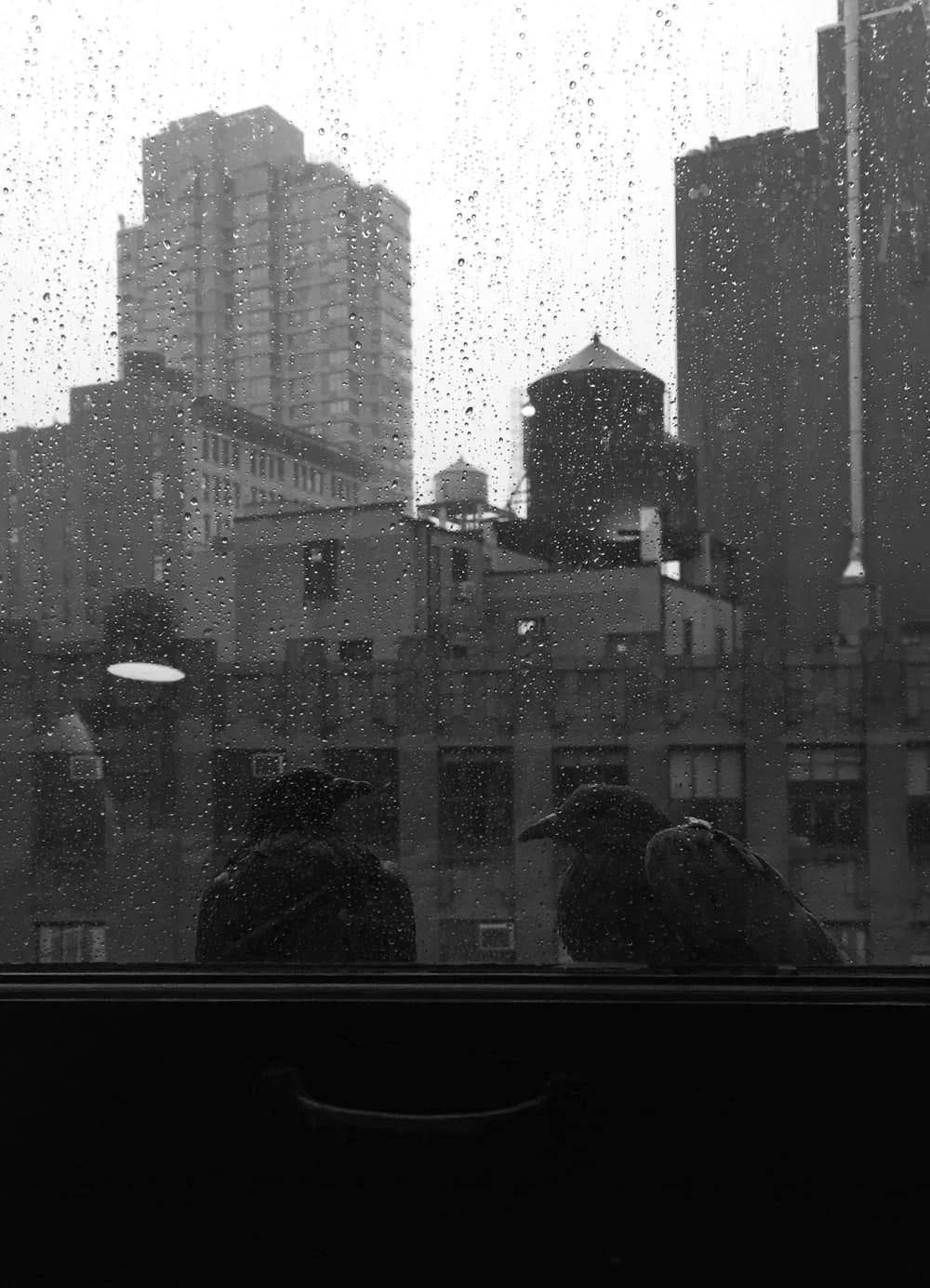 new-york.jpg