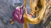 Tangled Time Period The History of the Evolving Animation Styles of Disney — The Disney ...