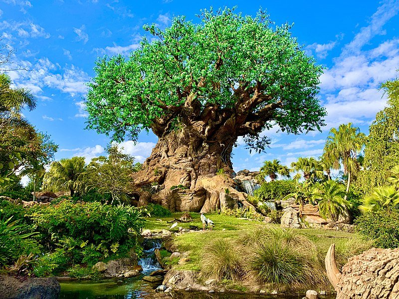 Tree_of_Life,_Disney's_Animal_Kingdom.jpg