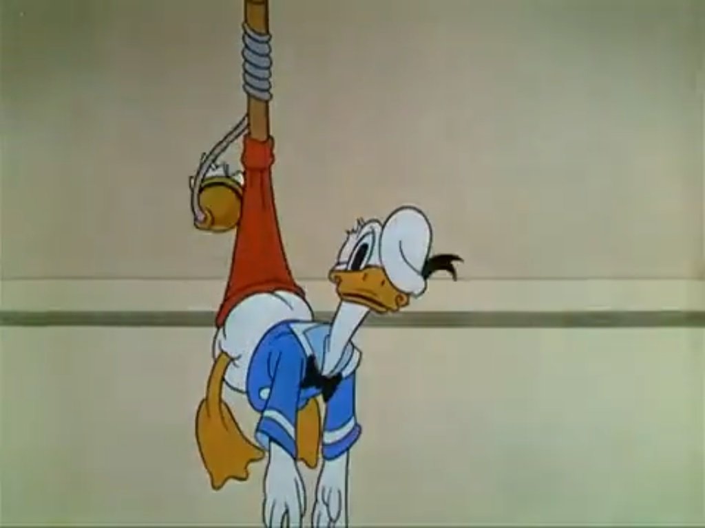 The Evolution of Donald Duck and Daisy Duck — The Disney Classics The Evolution of Donald Duck and Daisy Duck — The Disney Classics