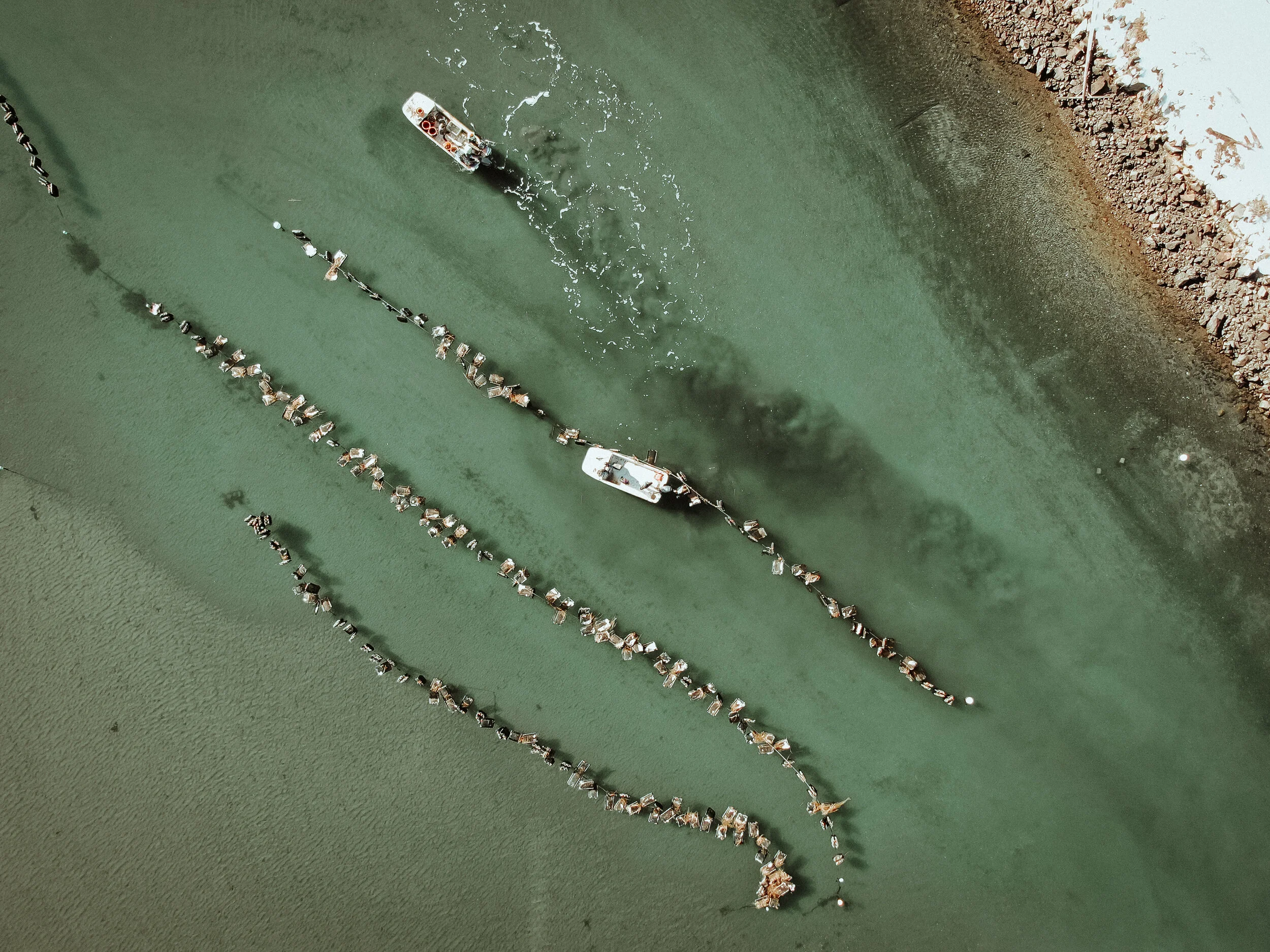 NoneSuch Teal:Orange Drone1.jpg