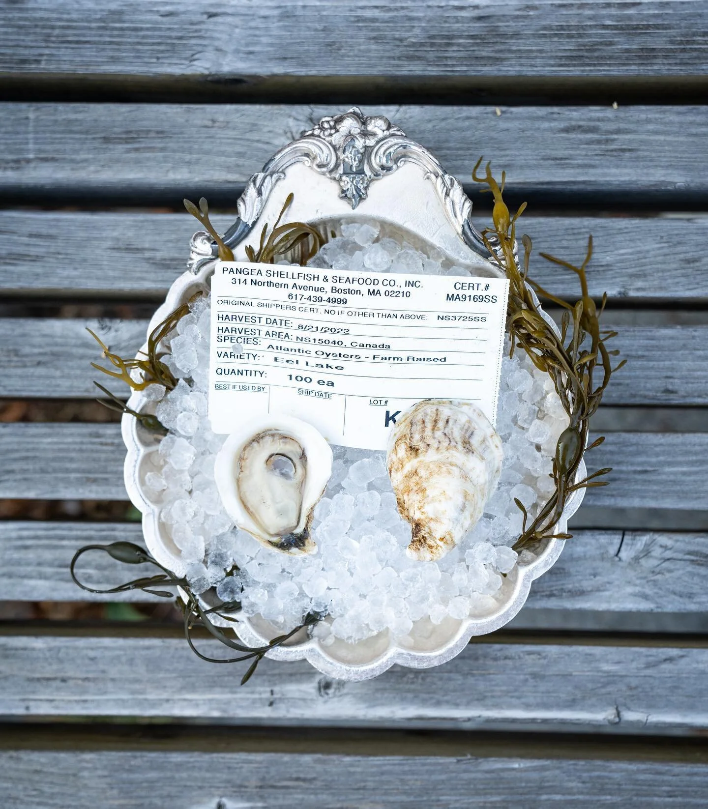 Eel Lake Oysters 🦪 now in stock! 🚨 

Join us for happy hour 1/2 off oysters at the bar from 5pm-6pm daily and 10pm to close Fri and Sat! 

The brackish waters of Eel Lake offer their oysters a sheltered environment that boasts high nutrients. The m