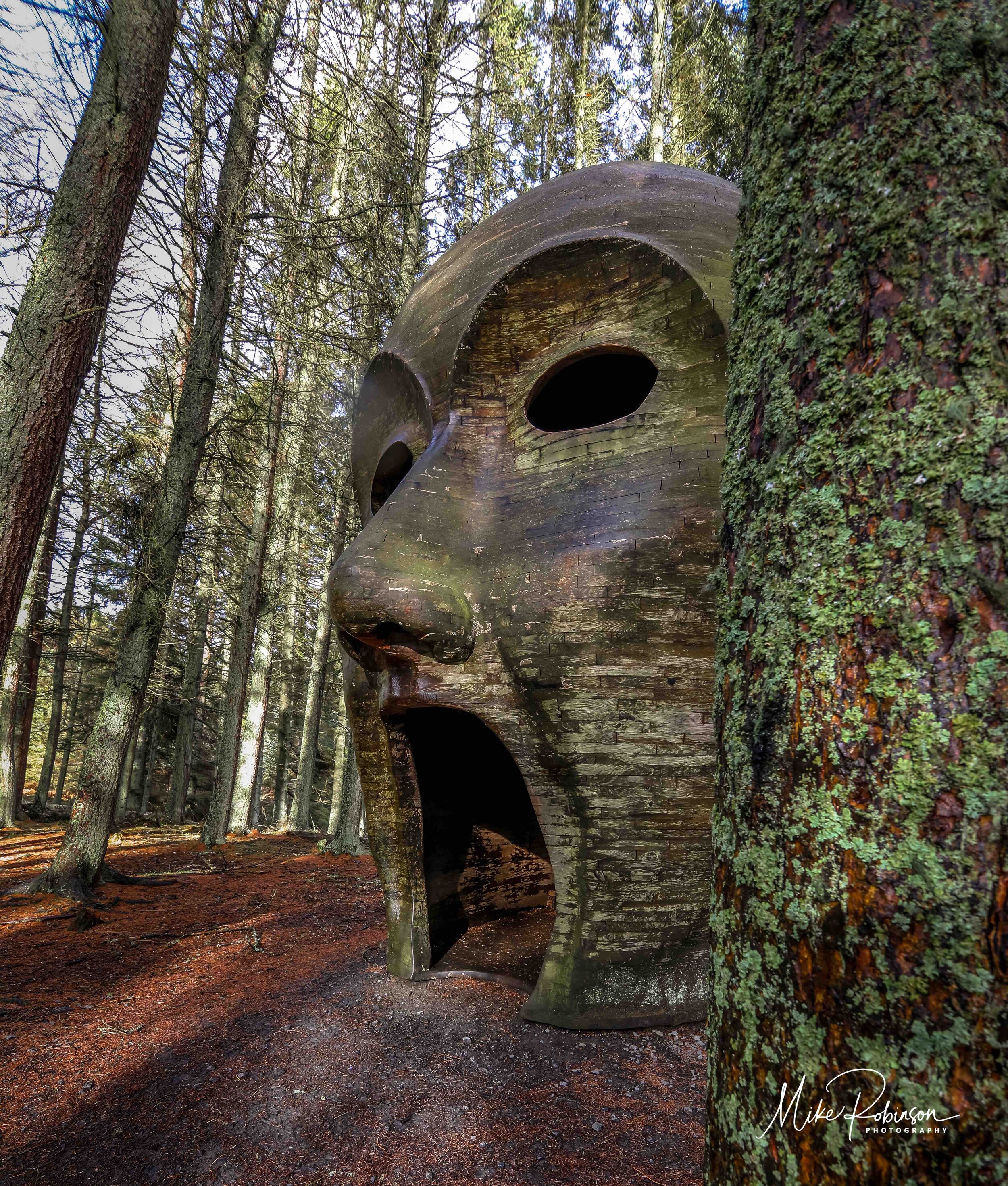 Kielder 3