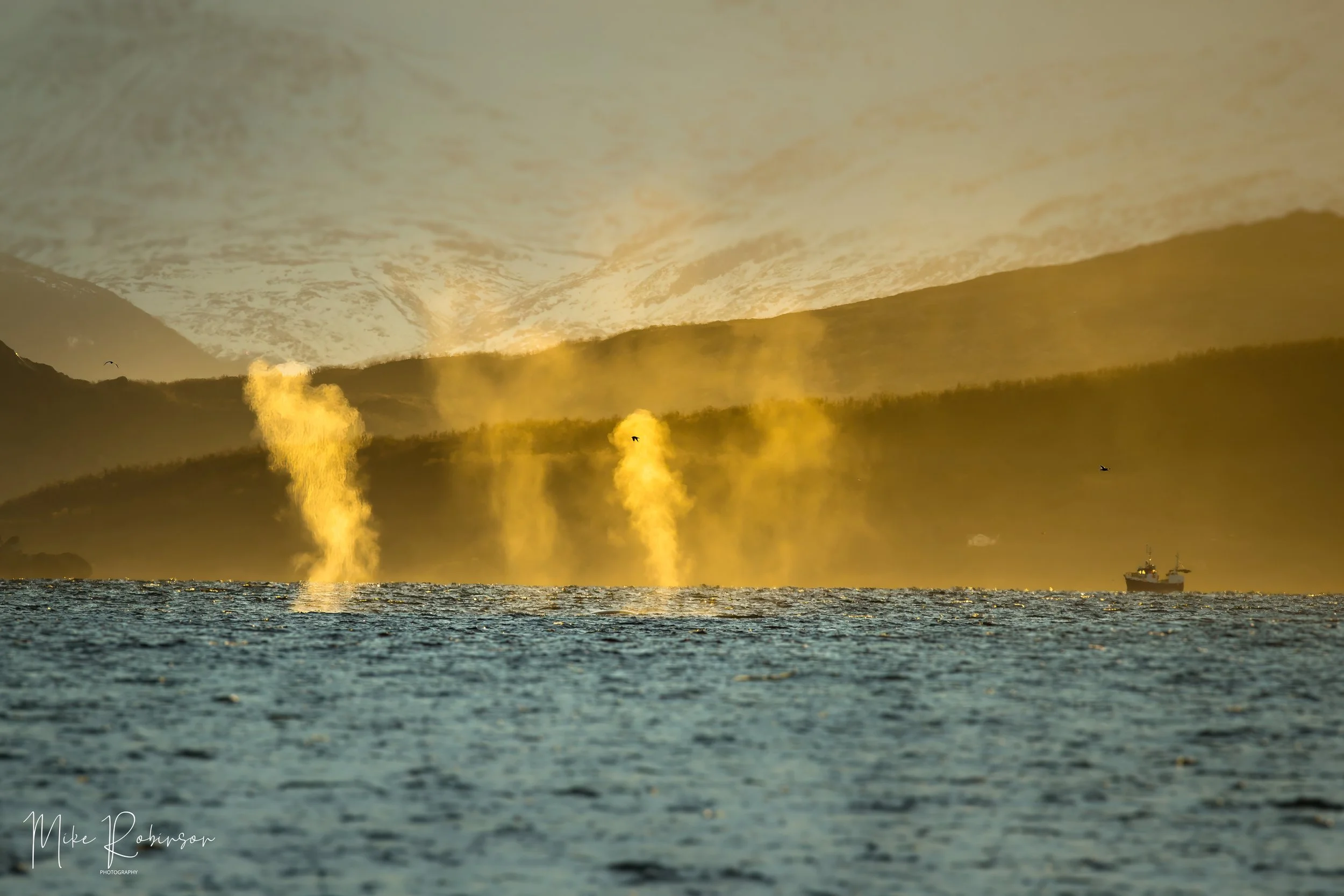 1Q9A9476-Edit.jpg