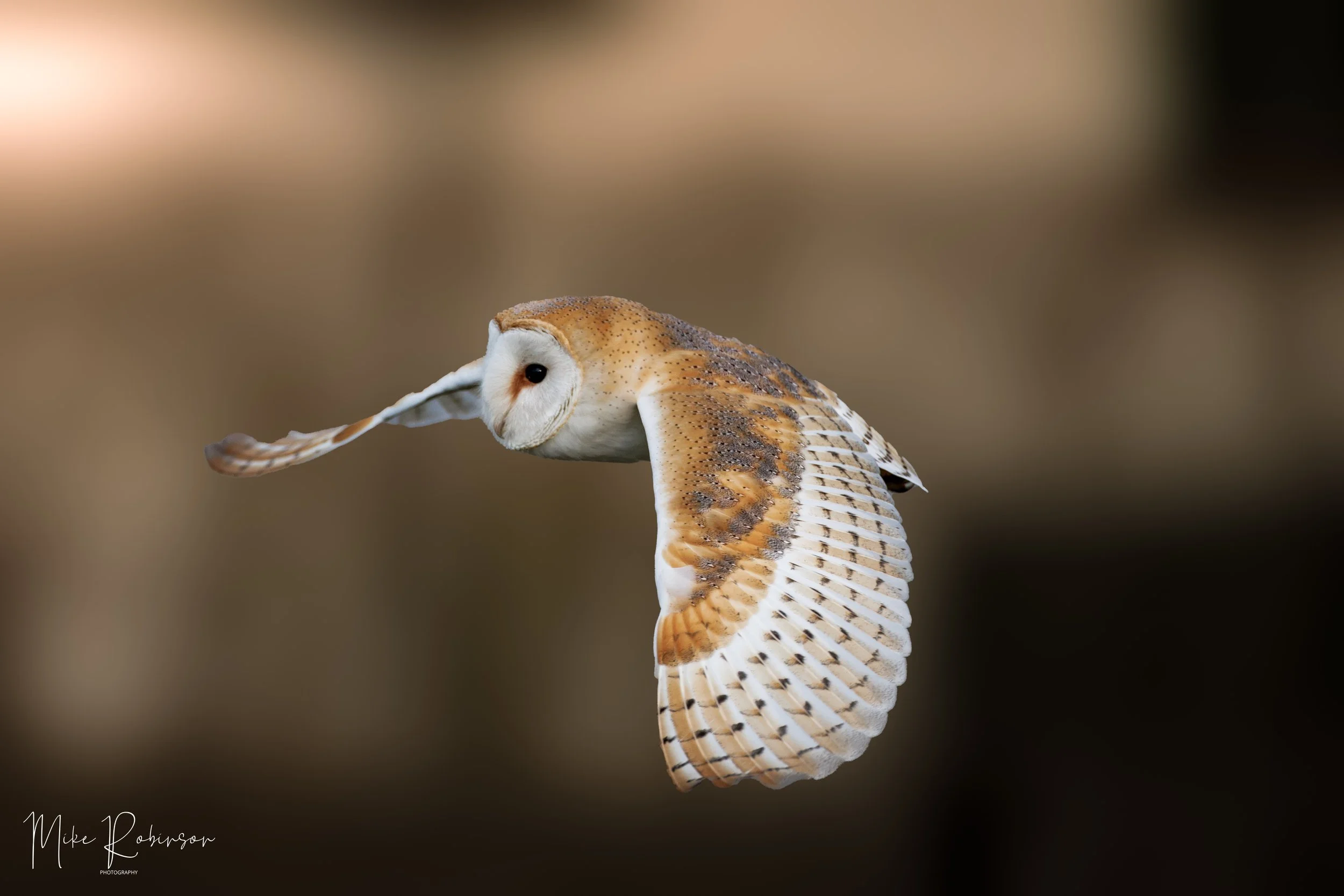 1Q9A9394-Edit.jpg