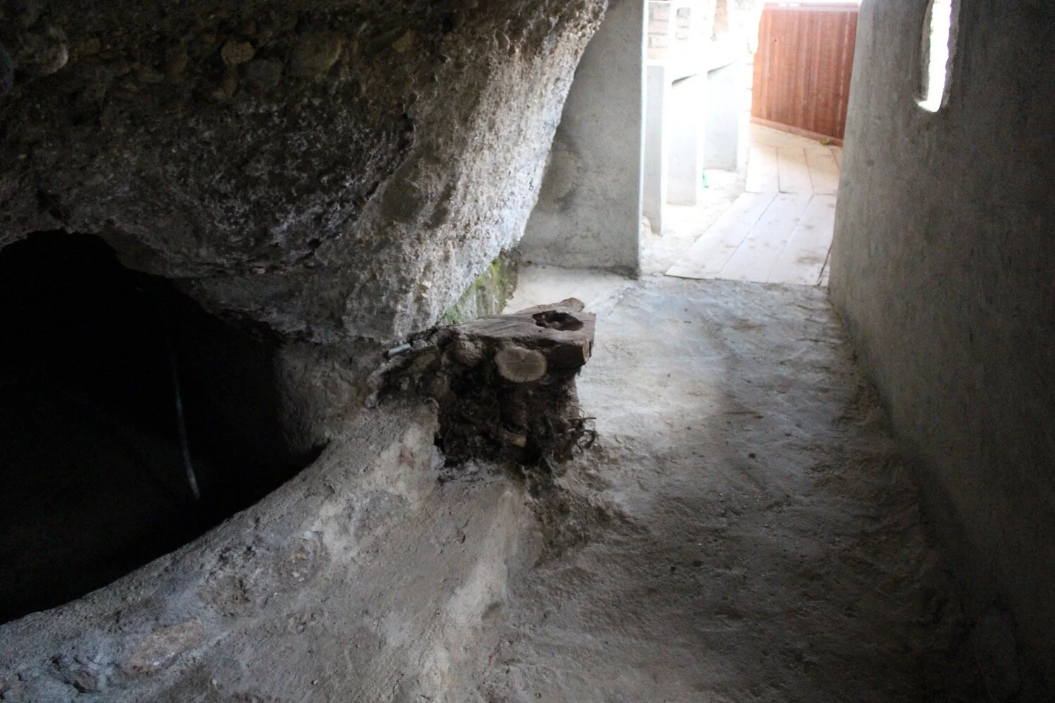A Tree Trunk Growing Inside Our Lady of the Shelters, Corinthia, Greece