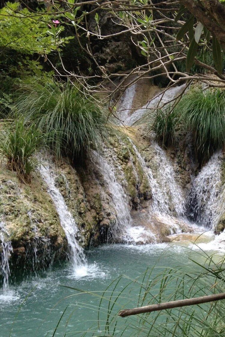 A photograph of water rushing over rocks into a small pool, surrounded by plants and tree limbs