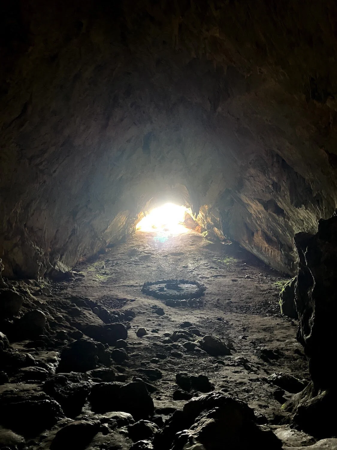 A photograph taken from the back of the first chamber of the Corycian Cave, showing the entrance illuminated by sunlight. Photograph taken by Erin Bernstein.