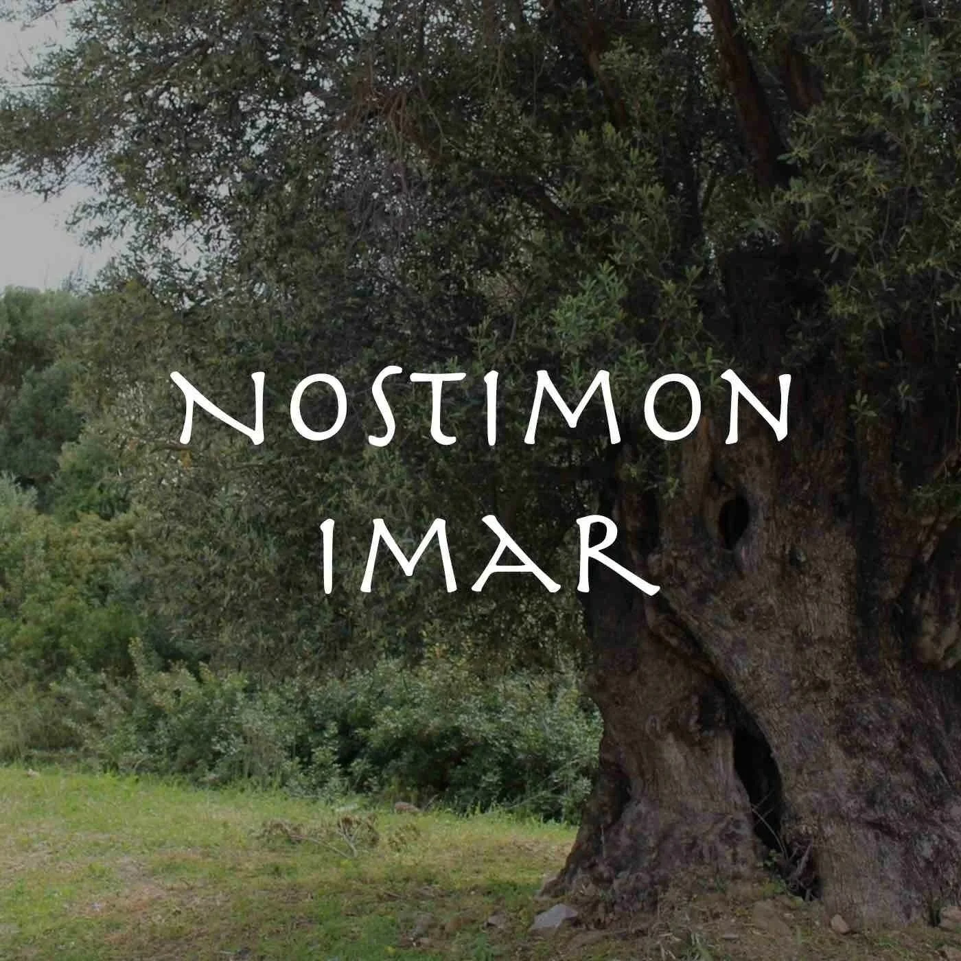 Nostimon Imar: The Taste of Coming Home episode artwork