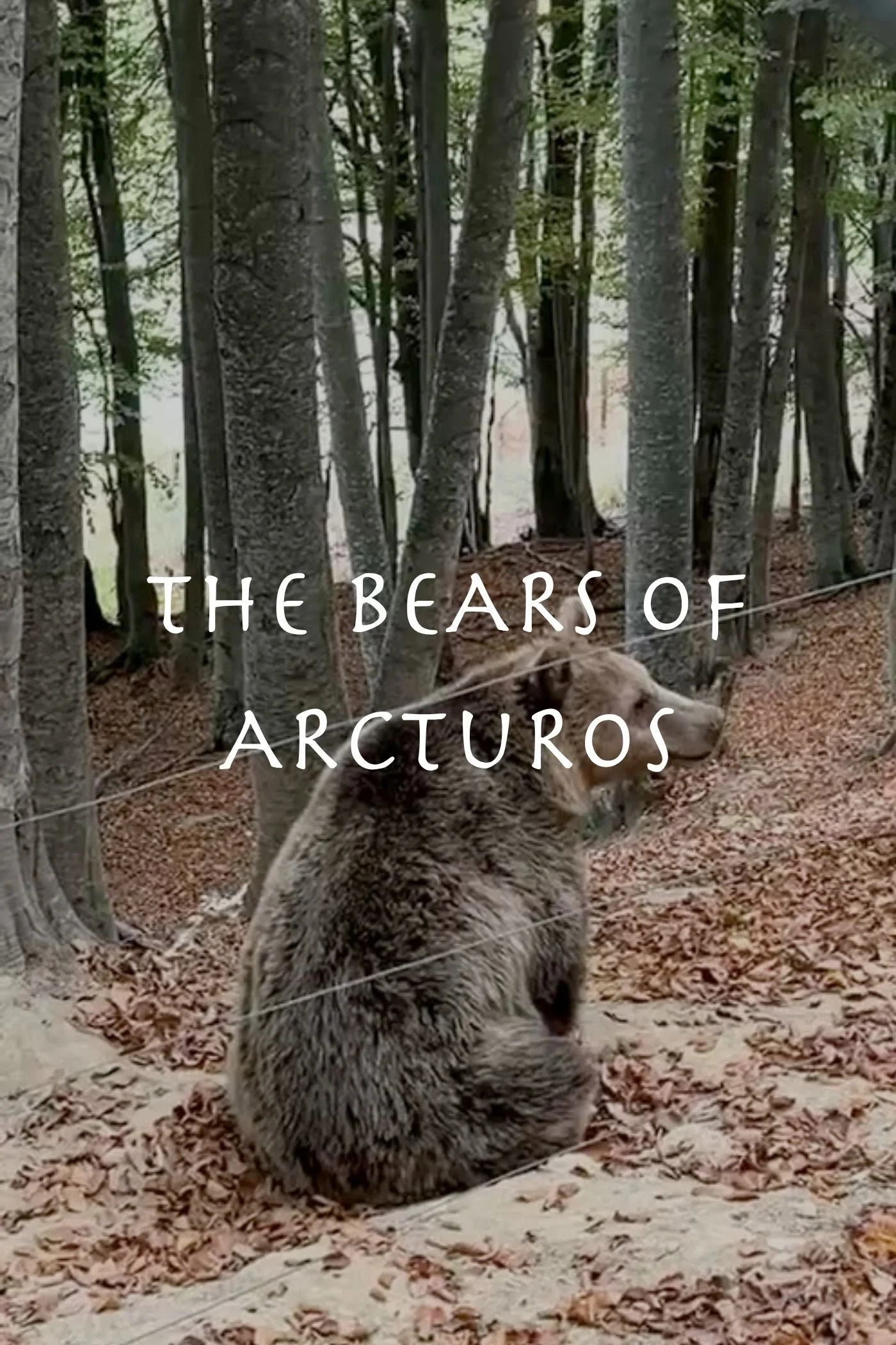 The Bears of Arcturos