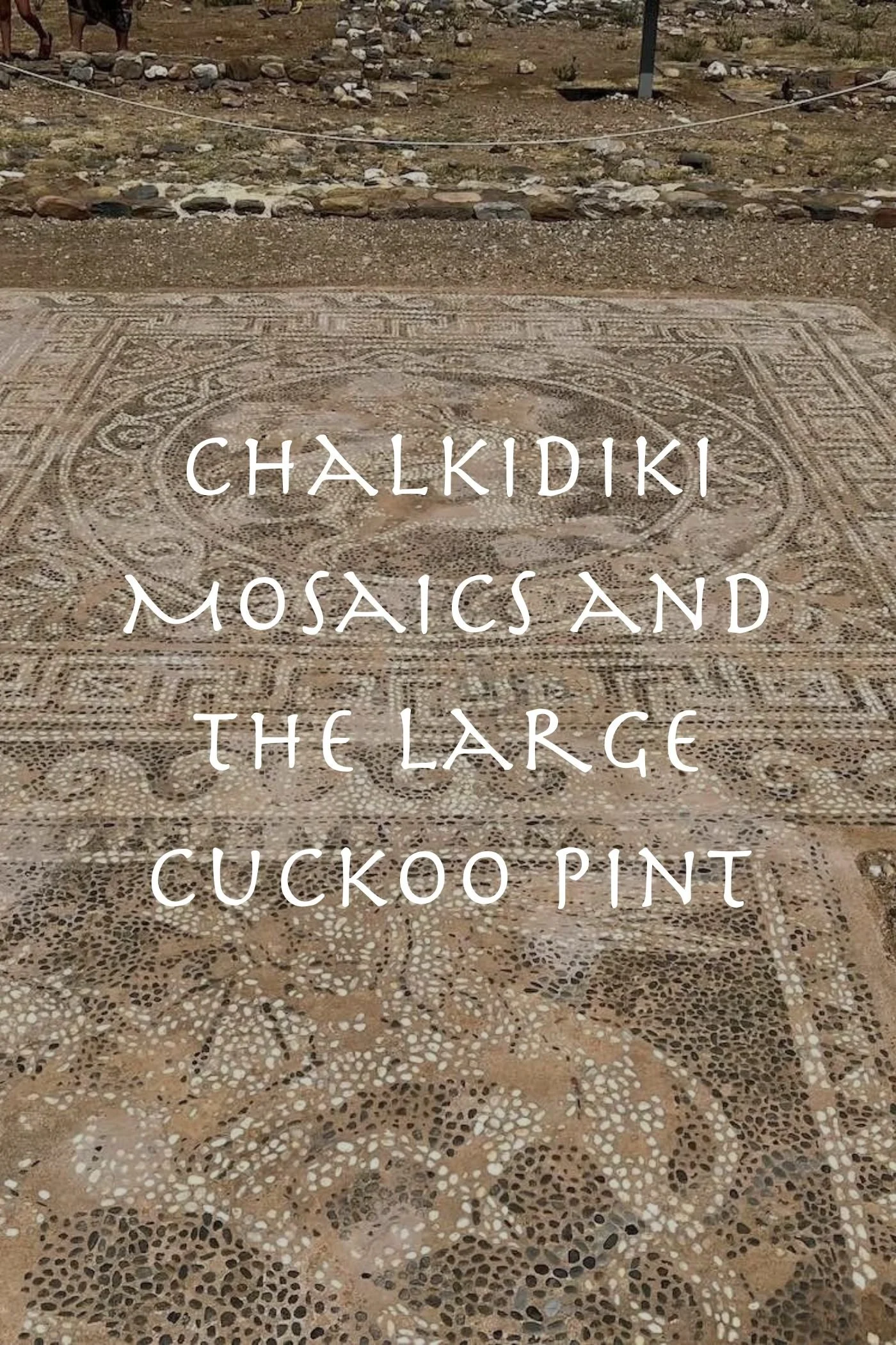 Chalkidiki Mosaics and the Large Cuckoo Pint
