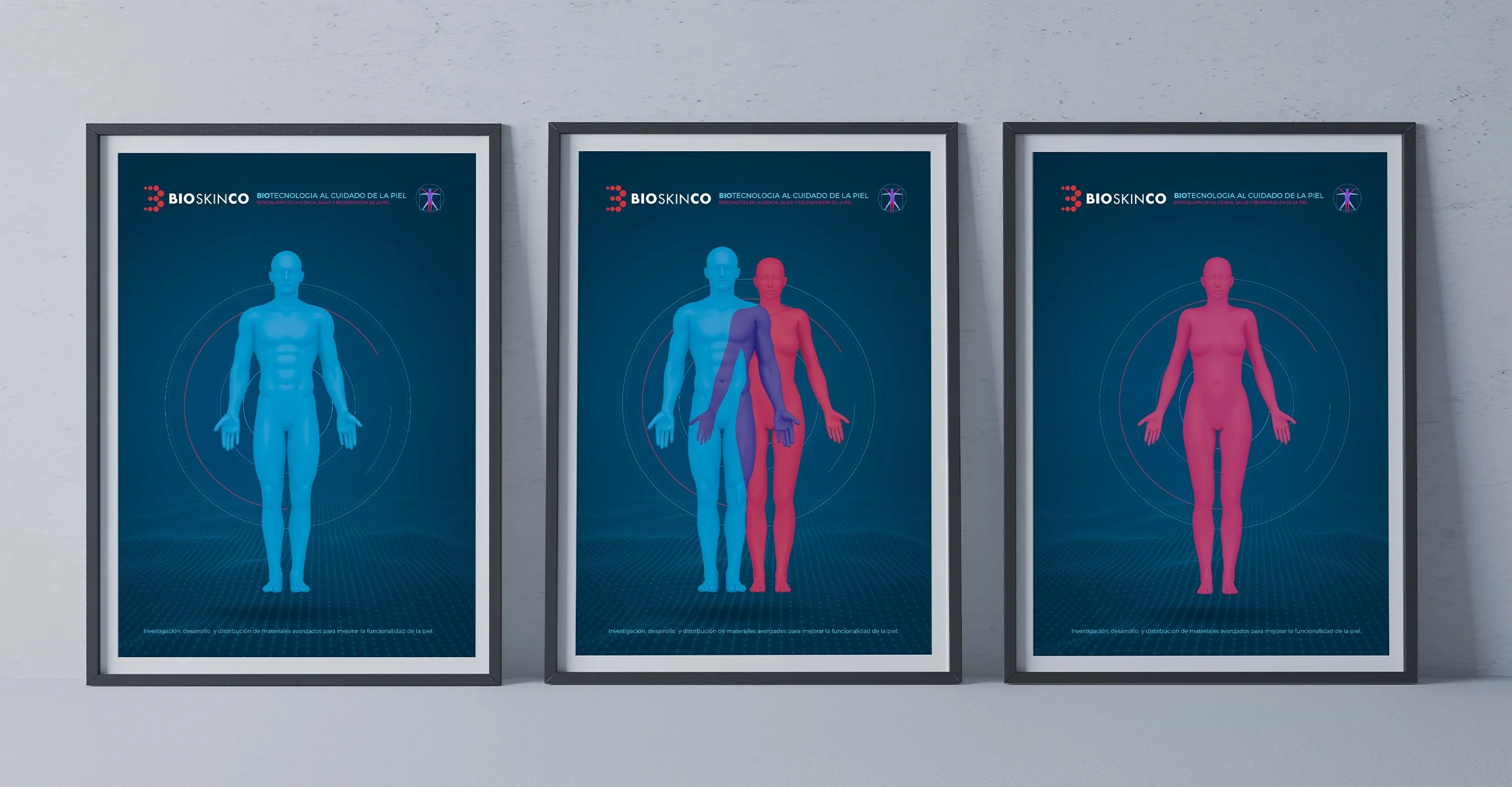 Bioskinco 05.jpg