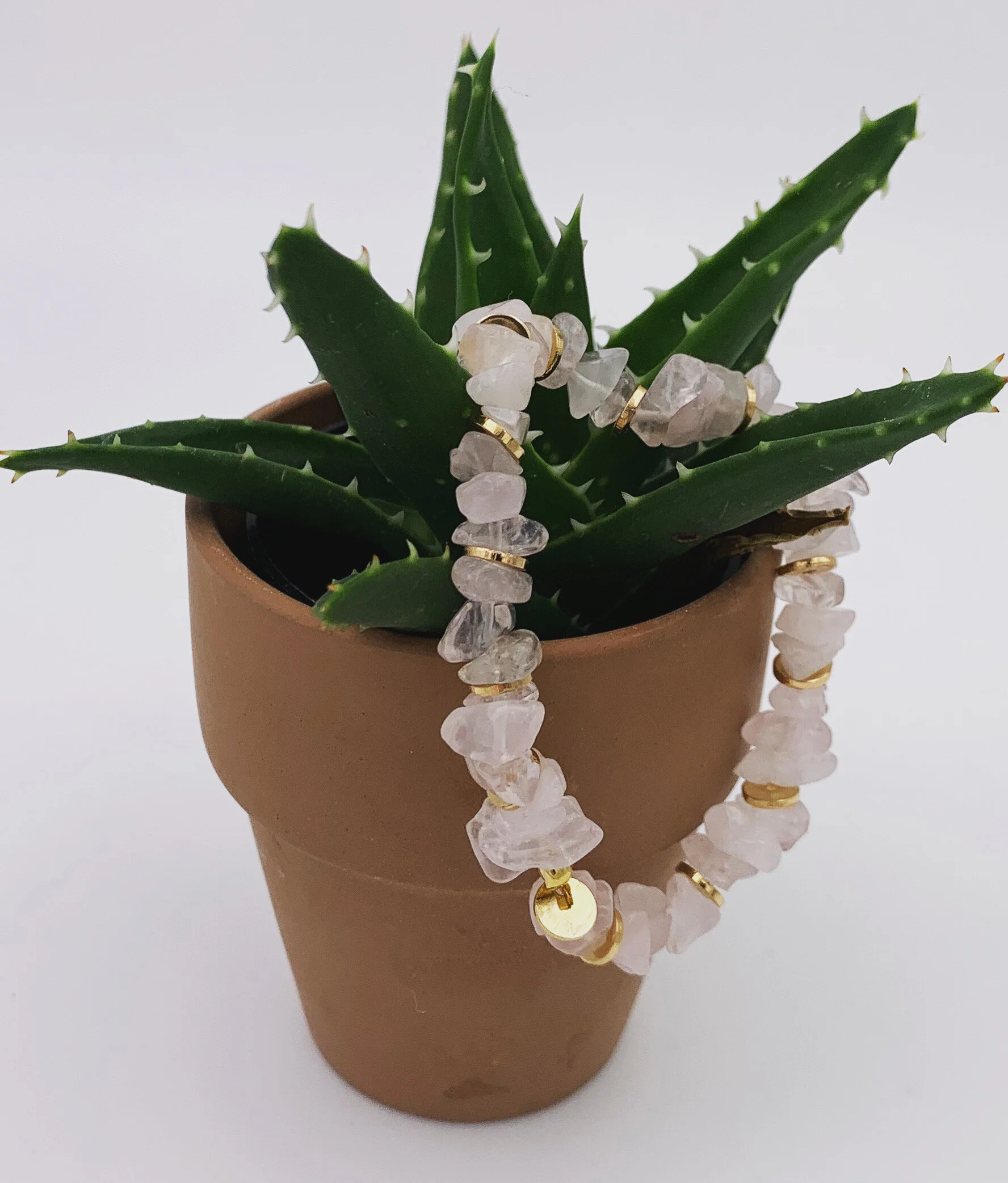 E7164CD0-9CA0-476A-ACA4-81755327EEF1