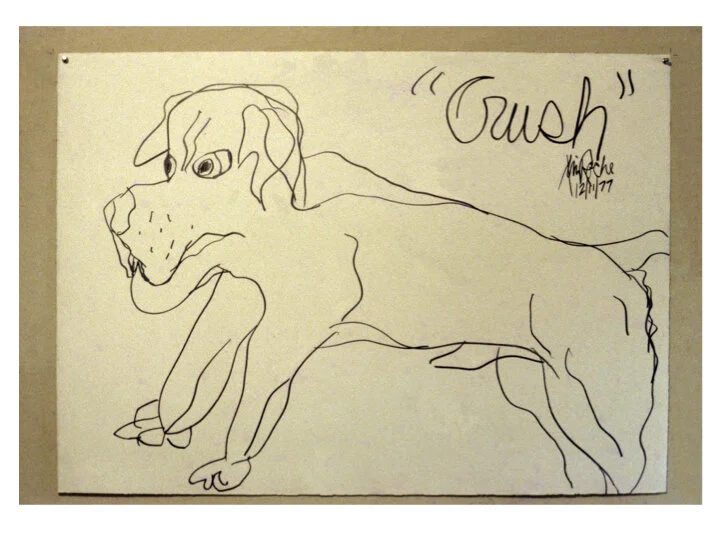 Jim Roche: Cultural Mechanic