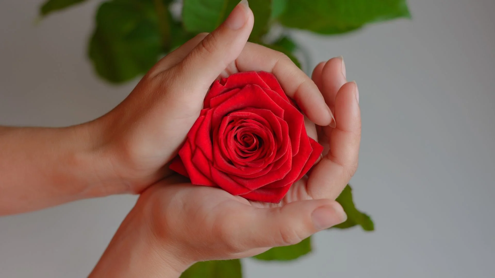 Cultivate Emotional Wisdom: Opening the Heart