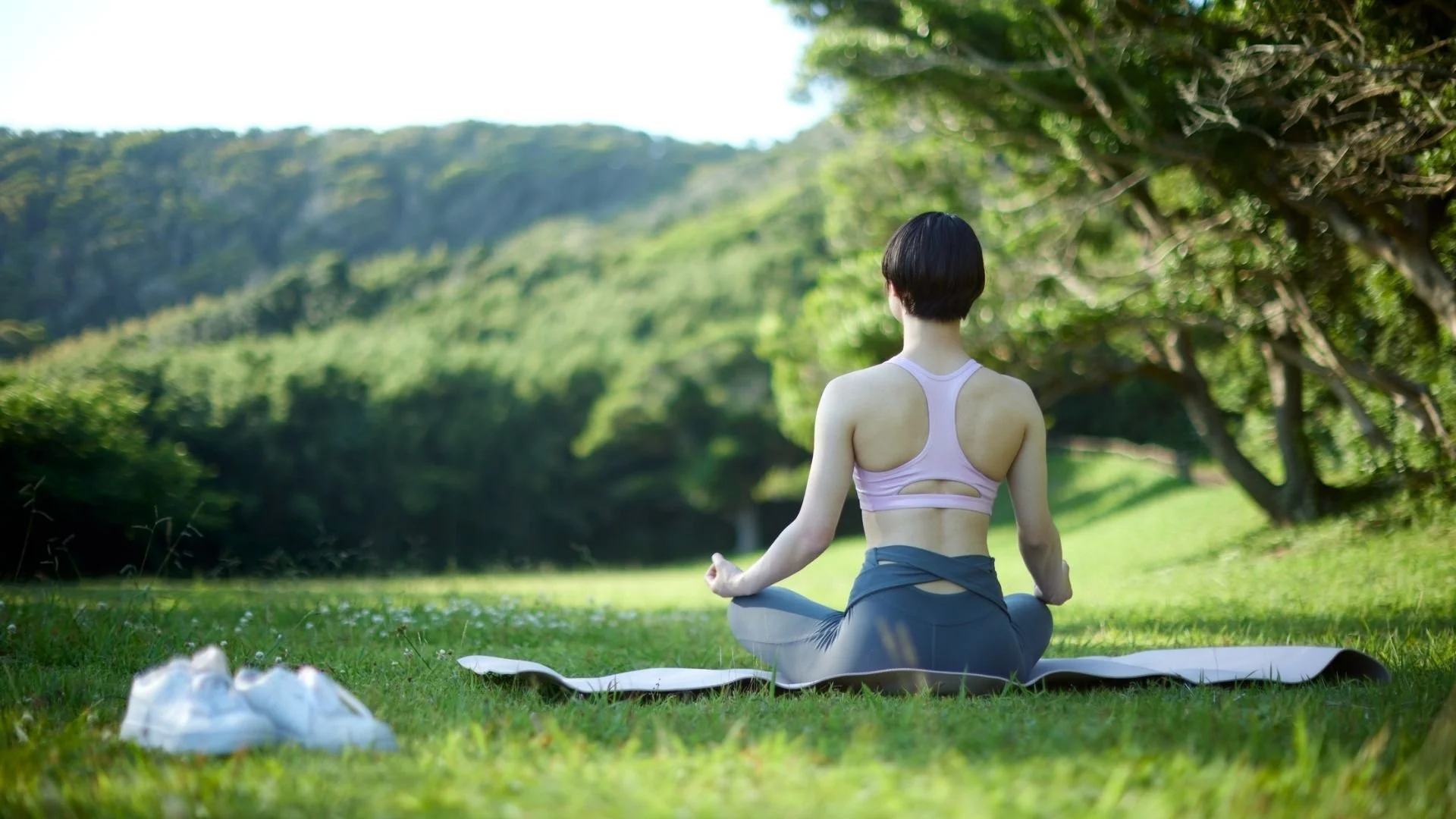 Unapologetic Manifestation: Shift Your Consciousness