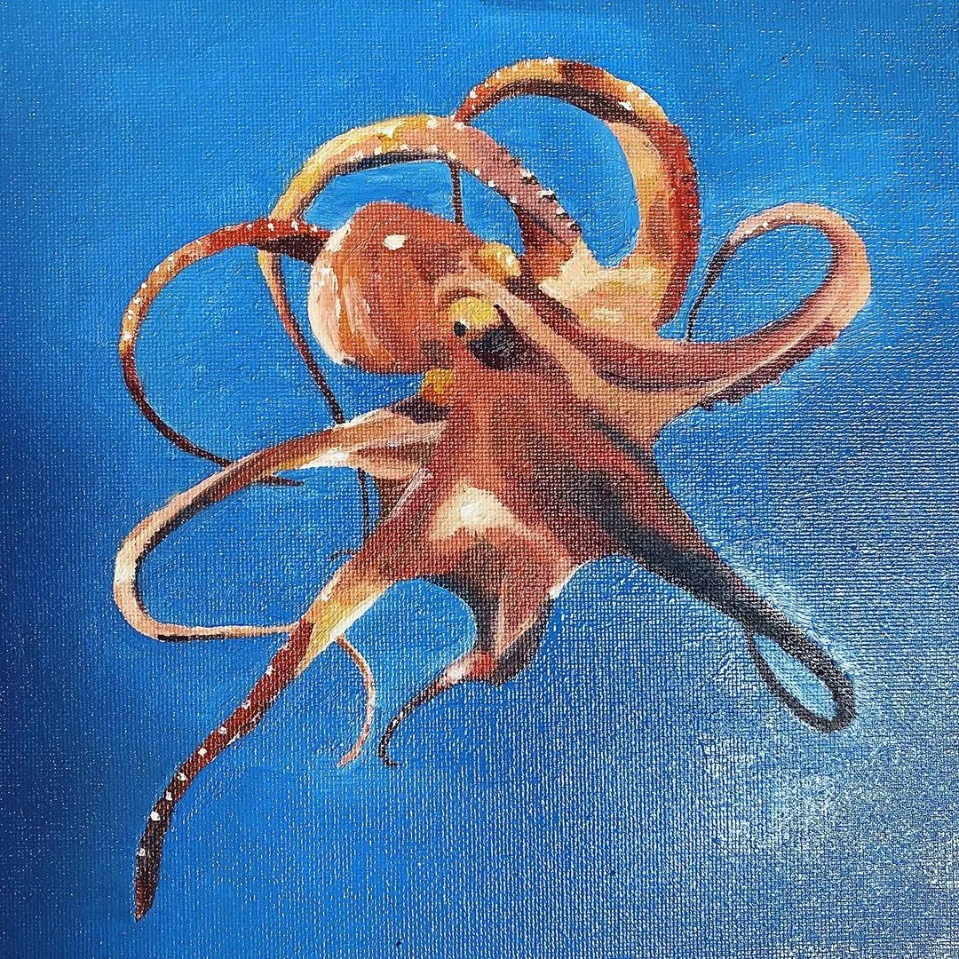octopus-small-full.jpg
