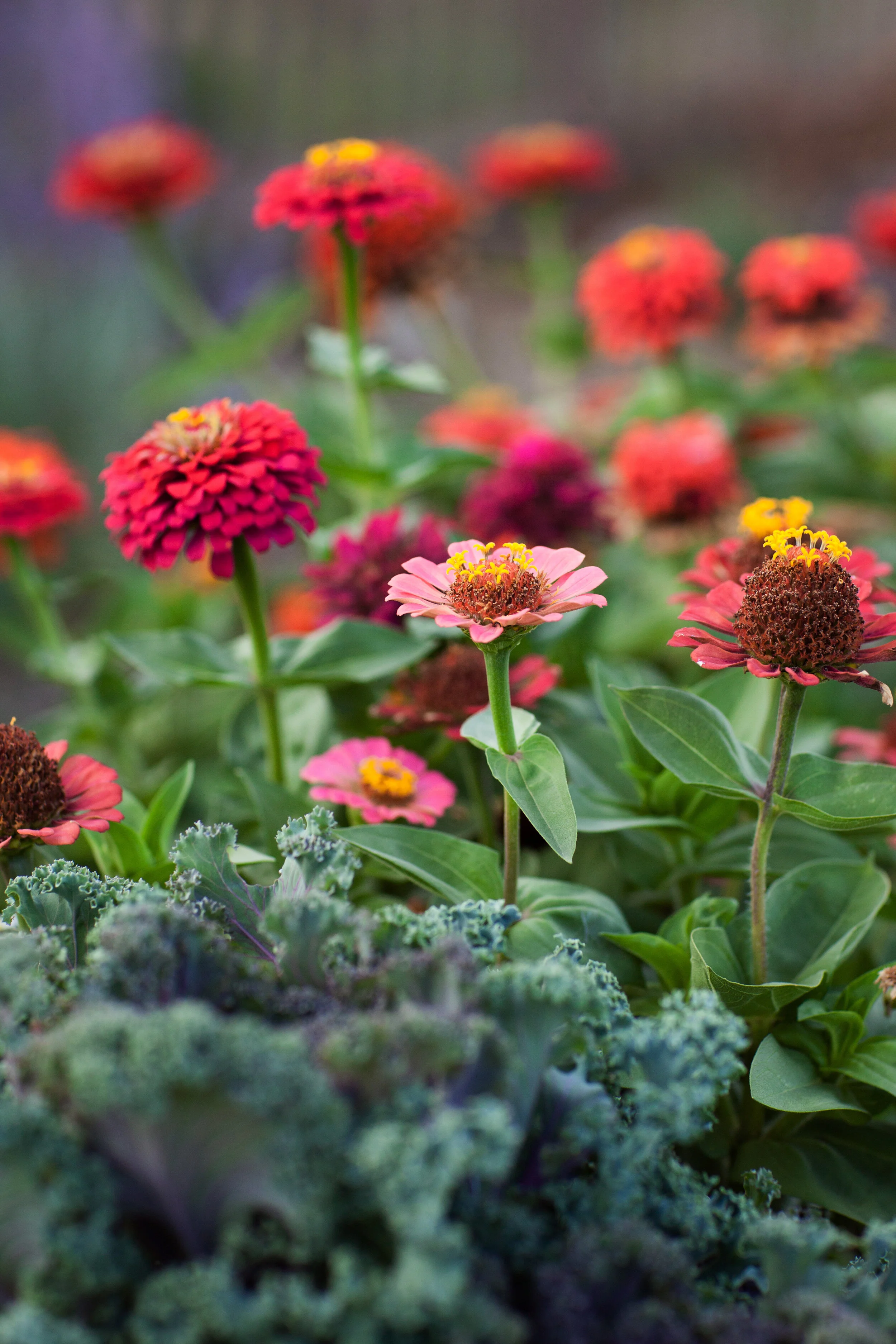 UrbanFarm_047.jpg