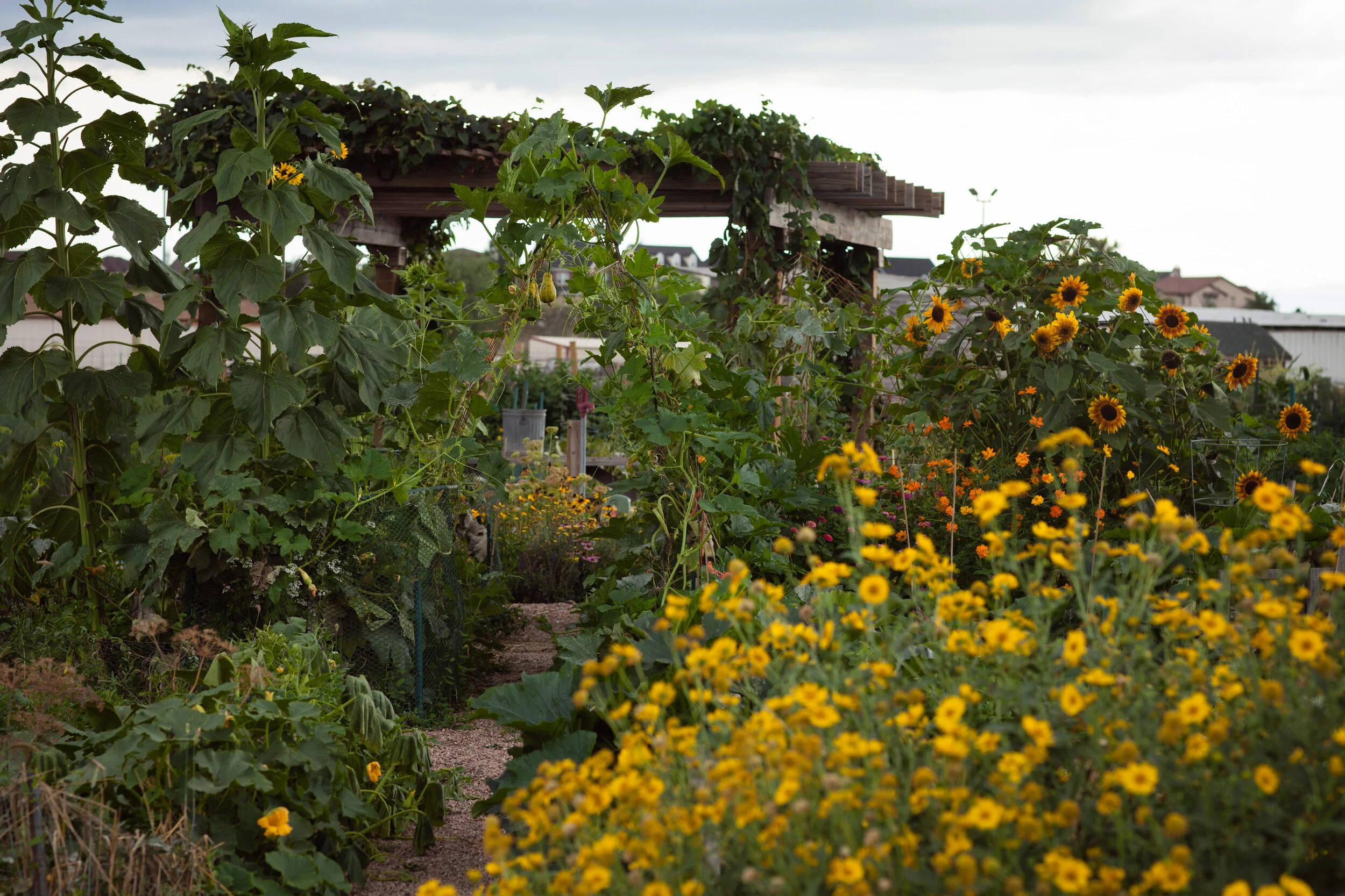 UrbanFarm_023.jpg
