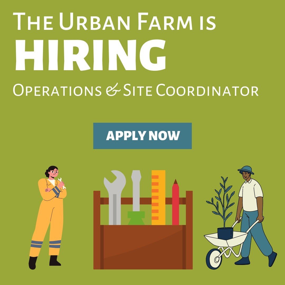 The Urban Farm is hiring an Operations &amp; Site Coordinator, who will be responsible for stewarding the physical spaces at The Urban Farm, including land, buildings, and equipment. TUF hosts over 100 heads of livestock including horses, goats, shee