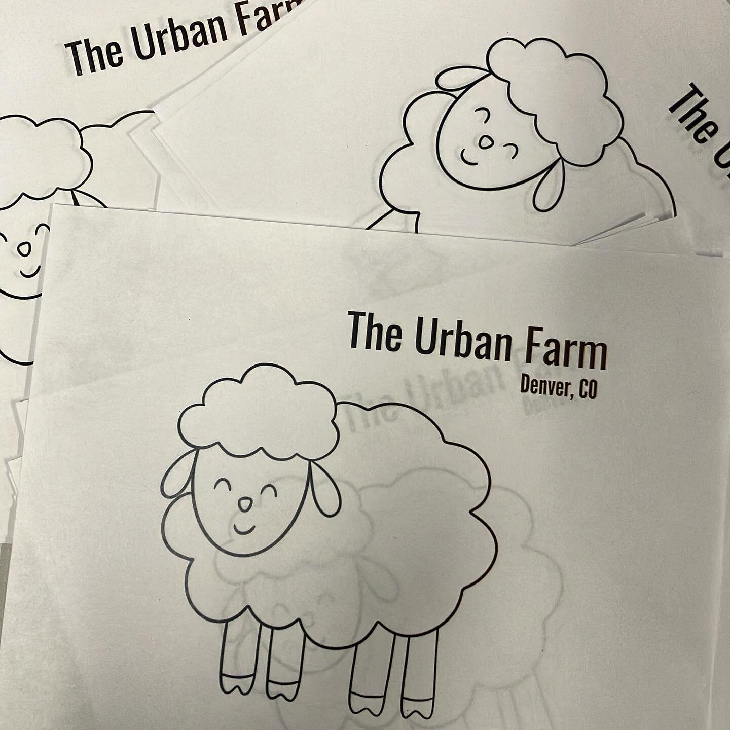 What music do sheep like?
&hellip;
&hellip;
&hellip;
Lady BaaBaa and Ed Shearen!  Come meet our sheep tomorrow at the Rug Sale and Fiber Fest 🐑 9am-2pm 🧶 free admission