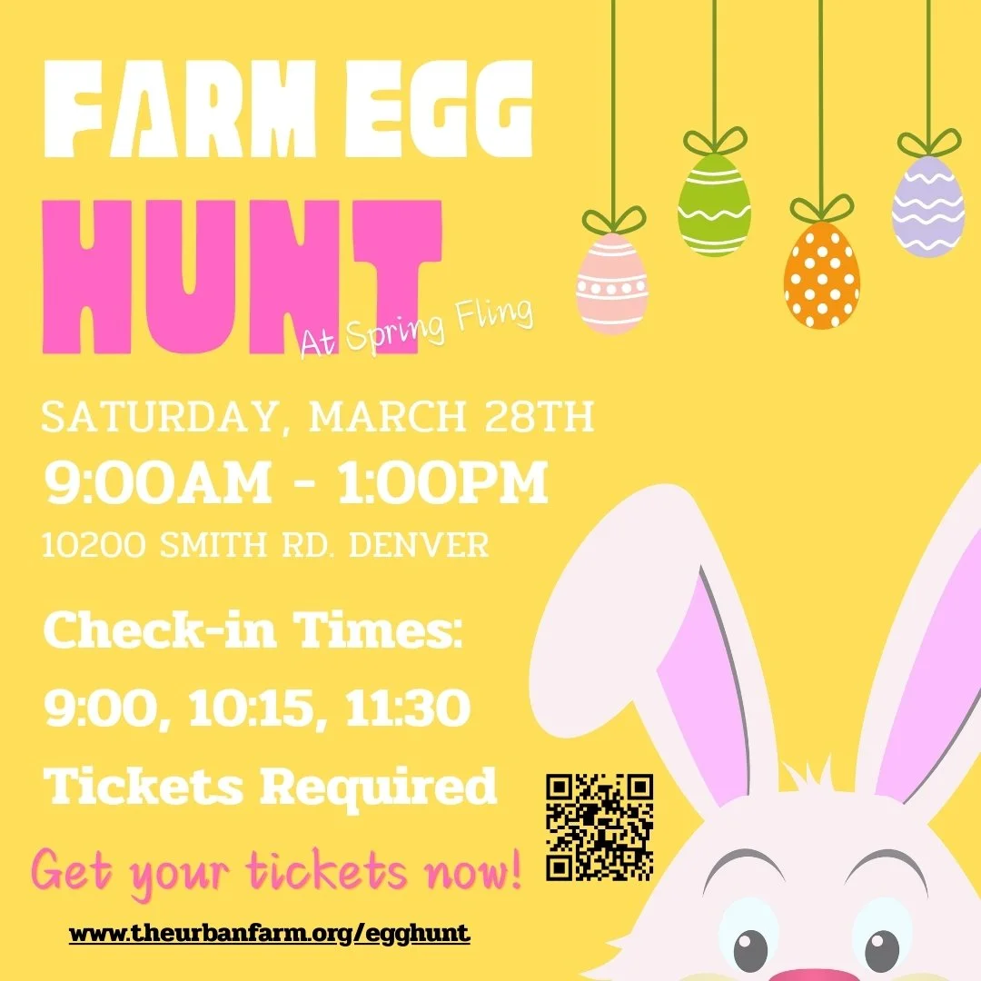 Spring Fling and Egg Hunt