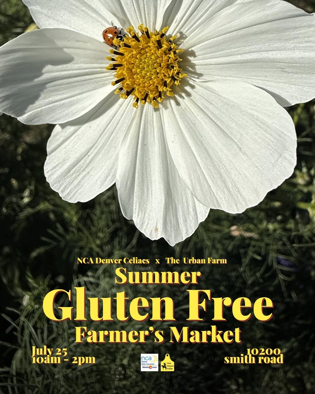 Summer Gluten Free Farmer's Market