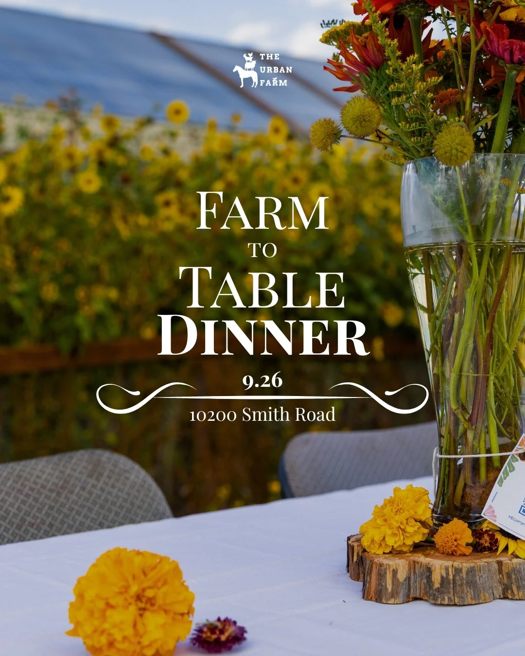 Farm to Table Dinner